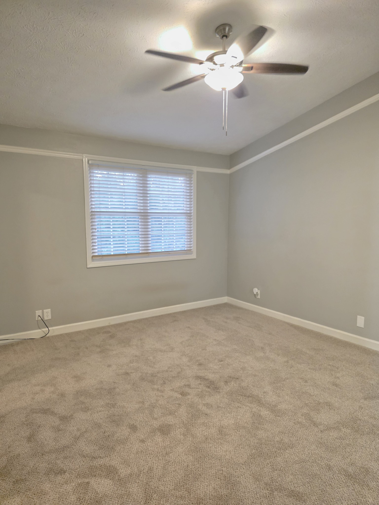 227 Wynbrook Ct Property Photo 14