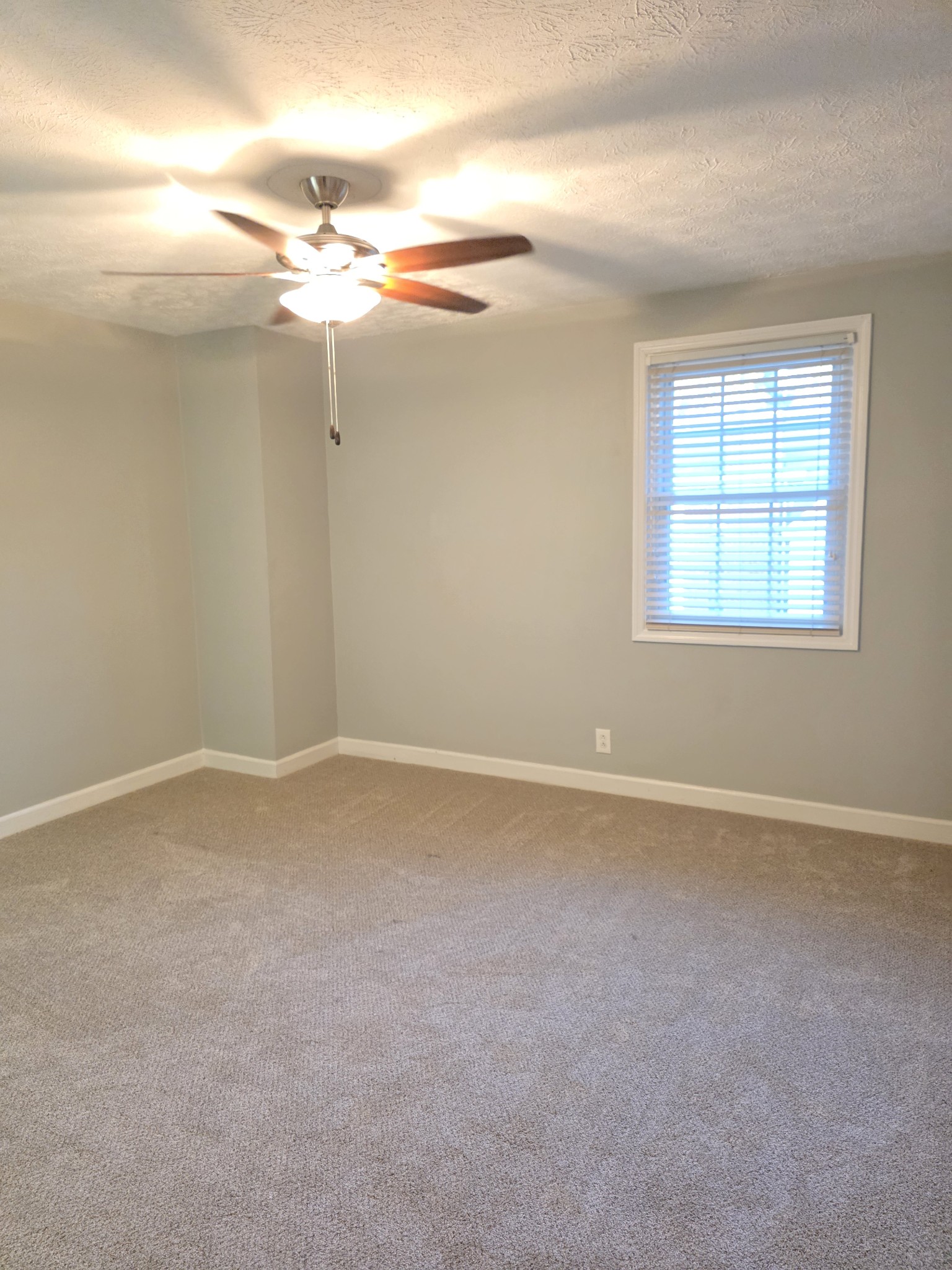 227 Wynbrook Ct Property Photo 18