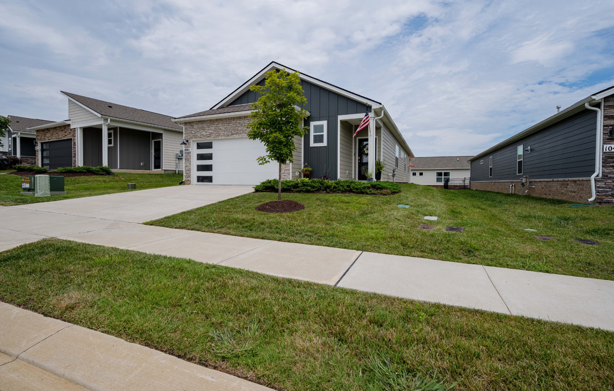 1041 Royal Gorge Pvt Ct Property Photo 1