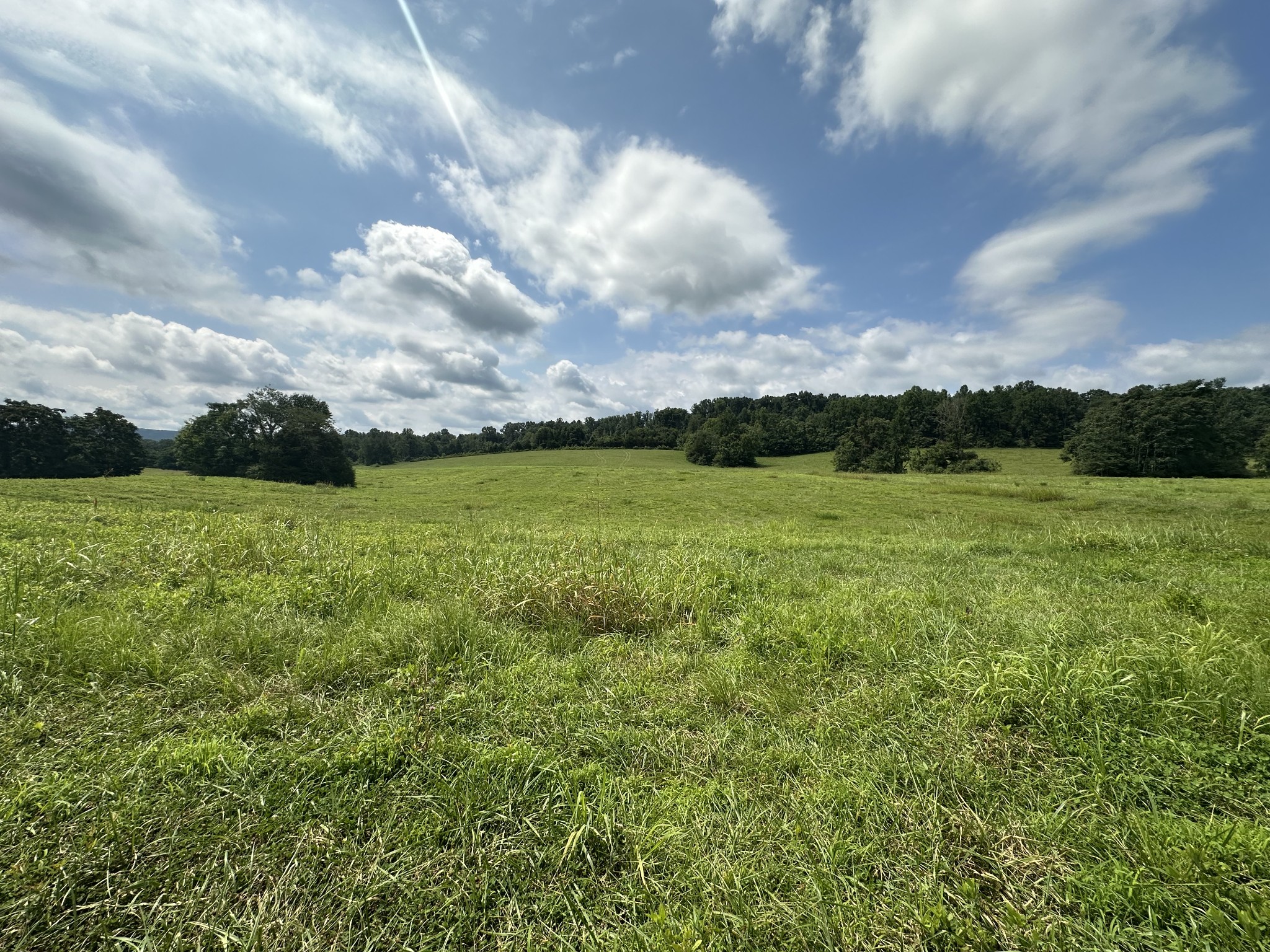 0 Plum Creek Rd Property Photo 1