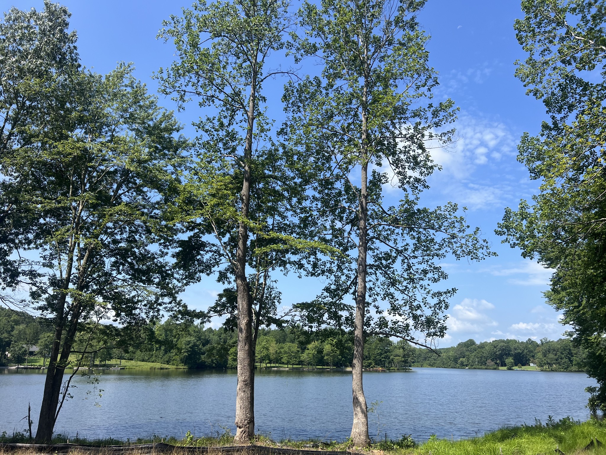 33 Arrowhead Pt Lot 175 Property Photo 1