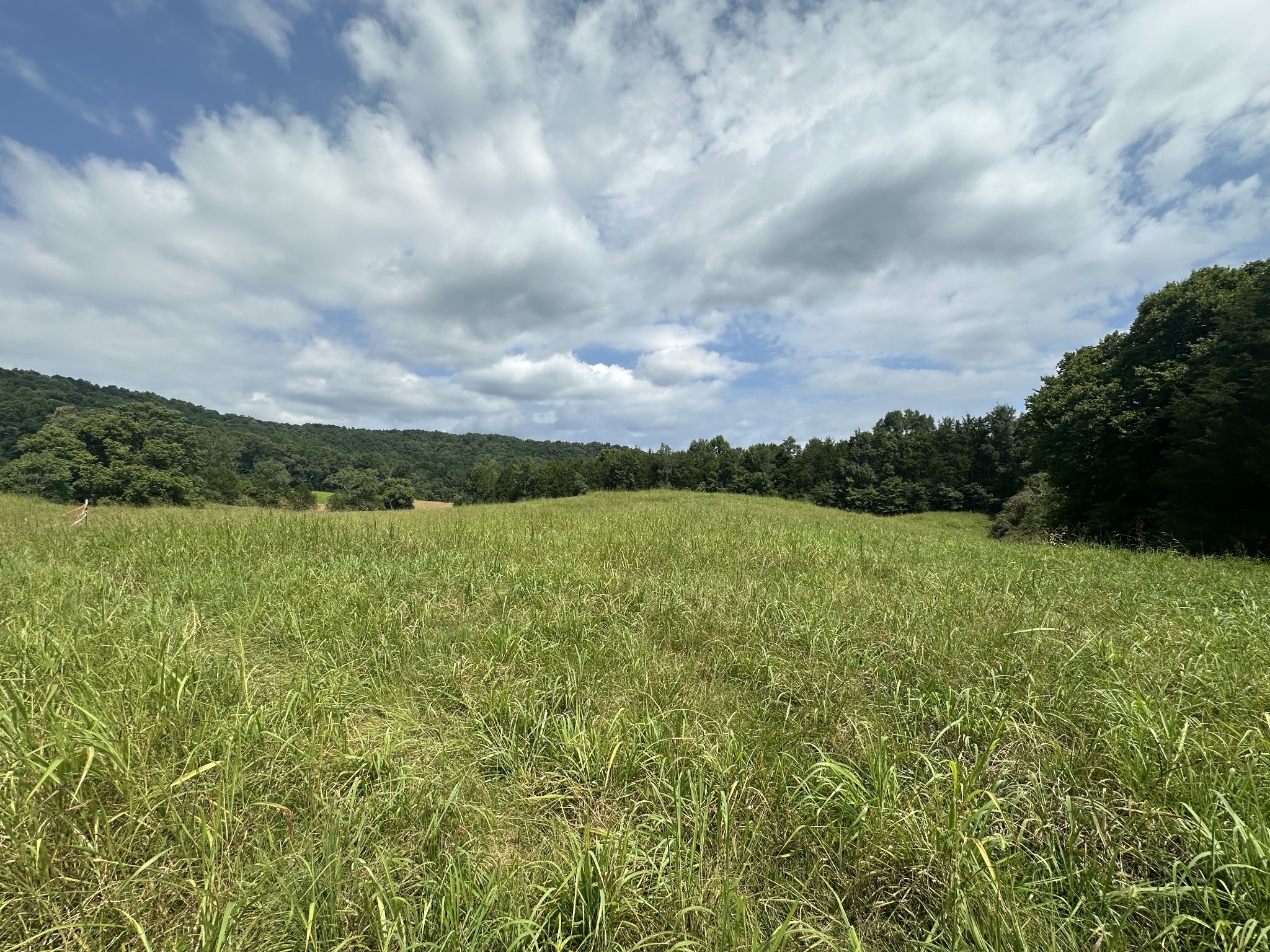 0 Plum Creek Rd Property Photo 1