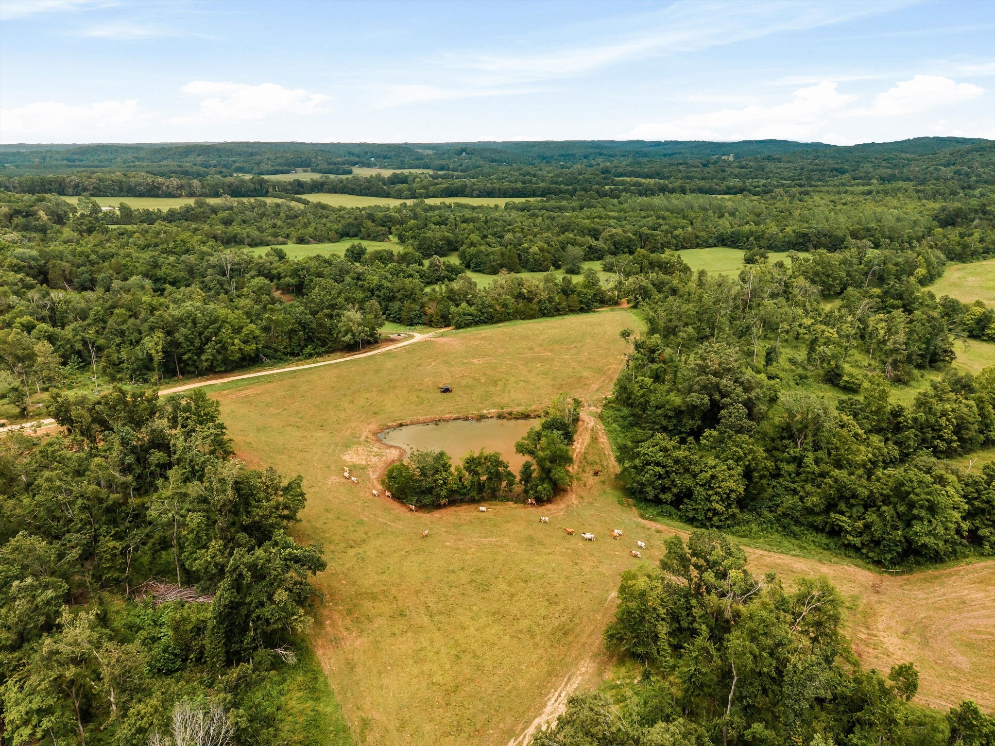 900 Ed Renfroe Cir Property Photo 15
