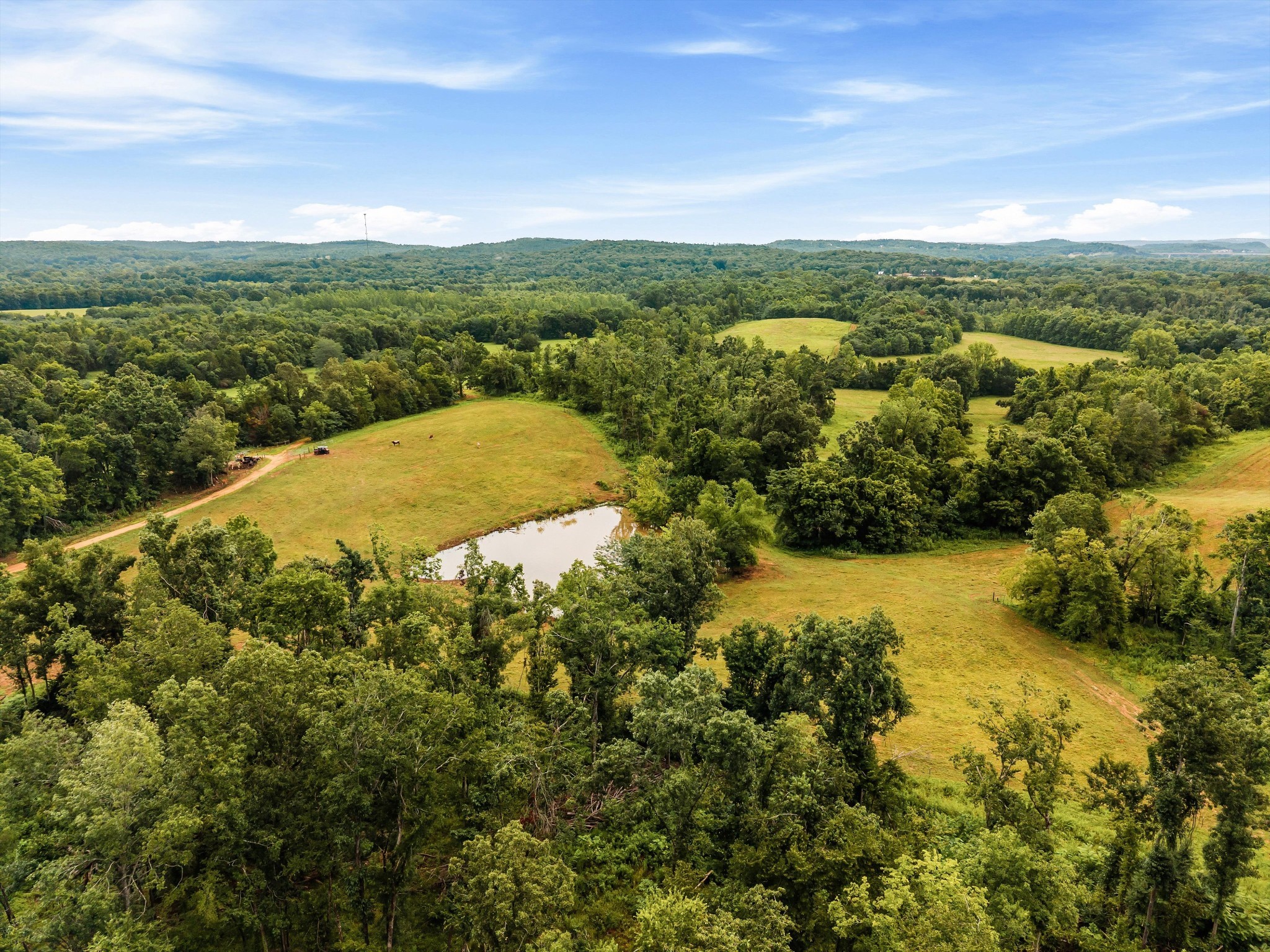 900 Ed Renfroe Cir Property Photo 16