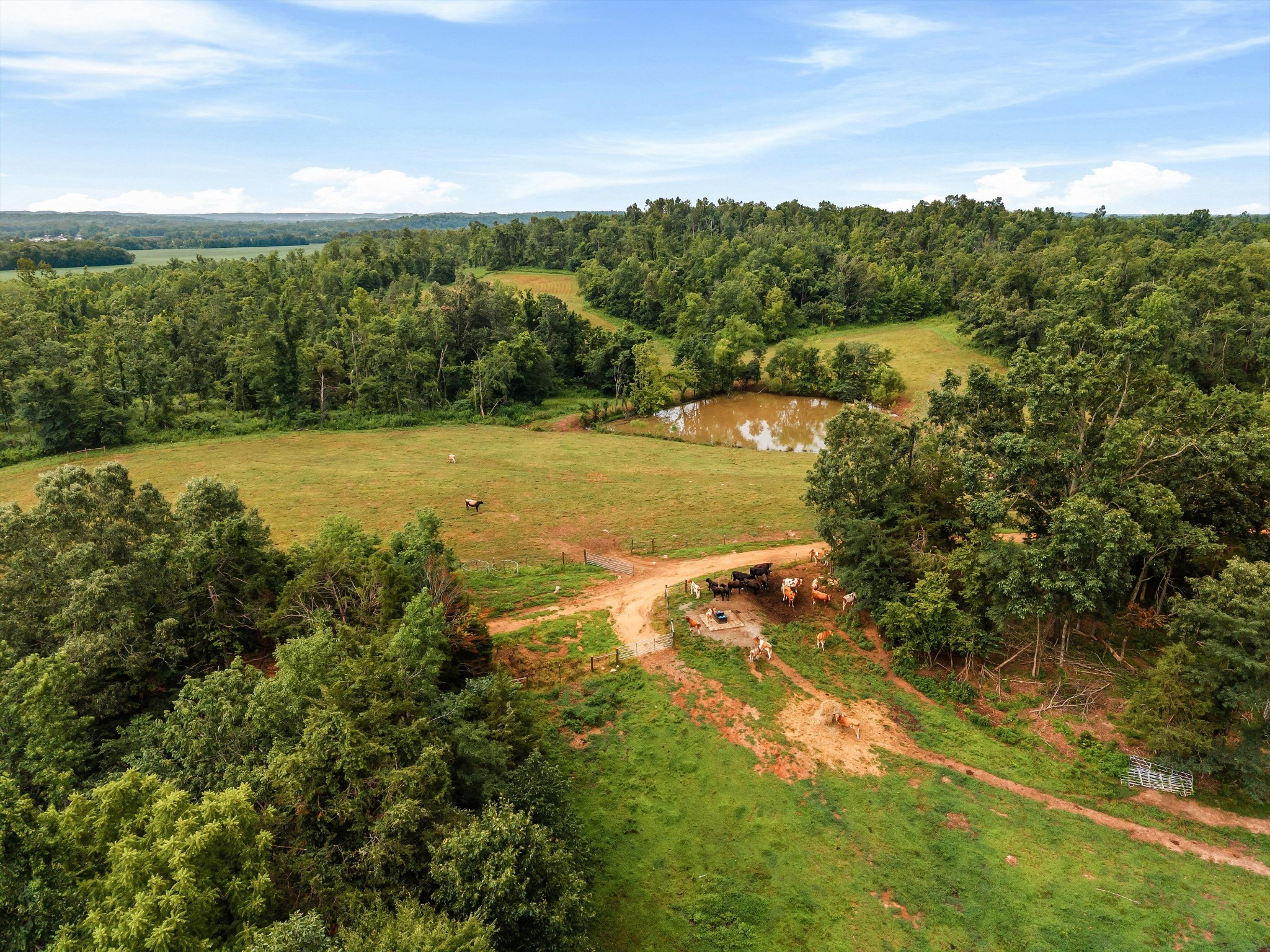 900 Ed Renfroe Cir Property Photo 19