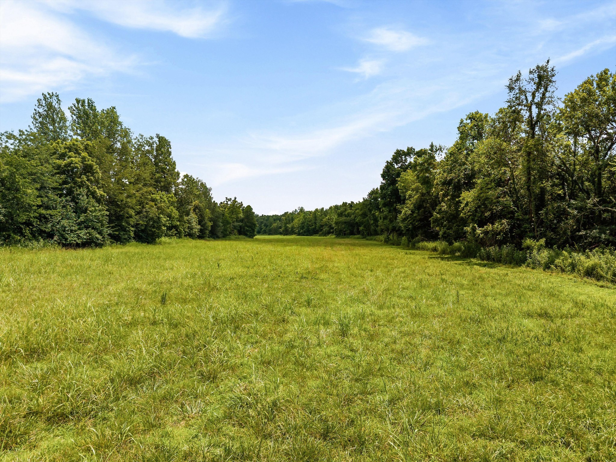 900 Ed Renfroe Cir Property Photo 41