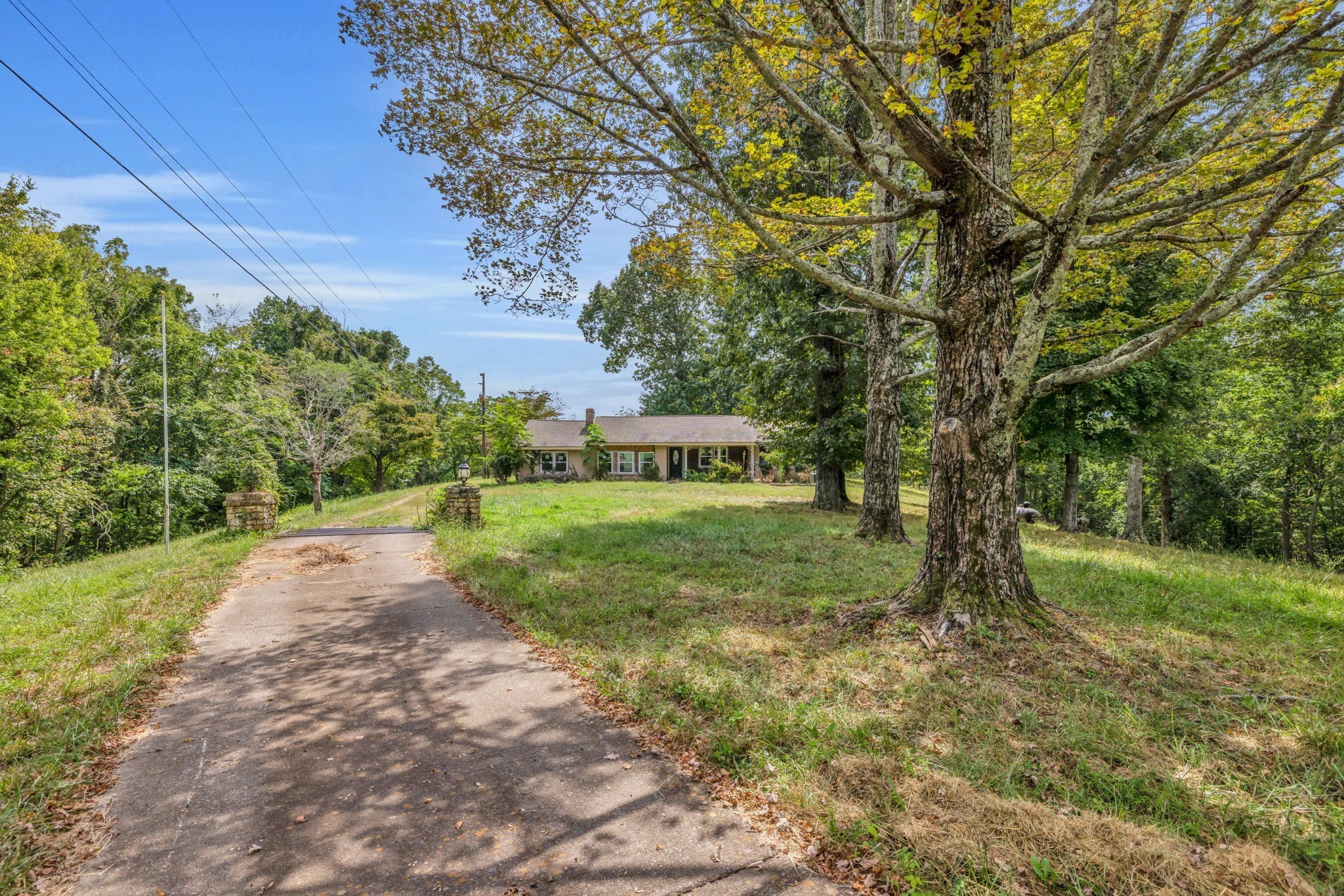8455 Lewis Rd Property Photo 5