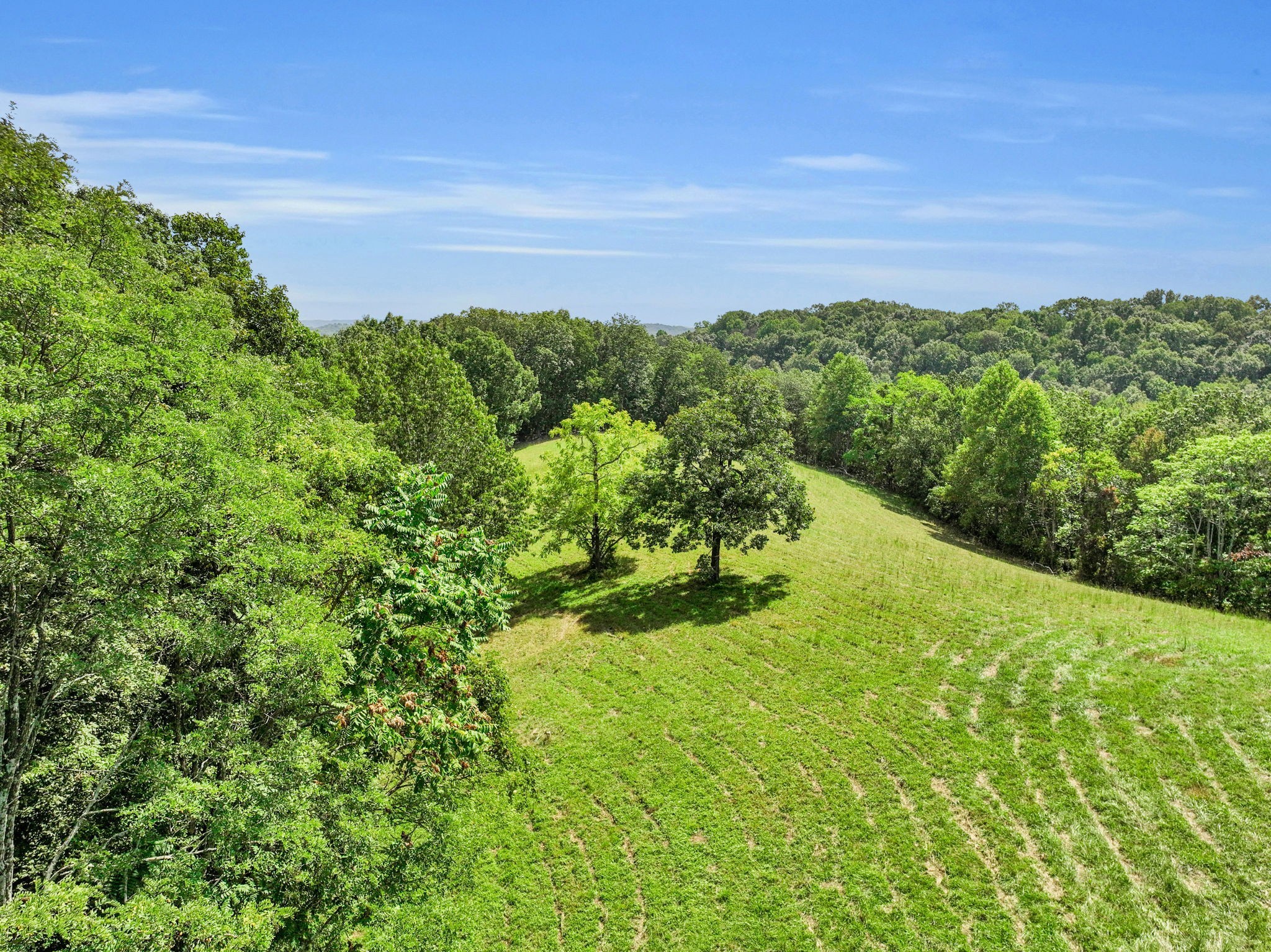 8455 Lewis Rd Property Photo 53