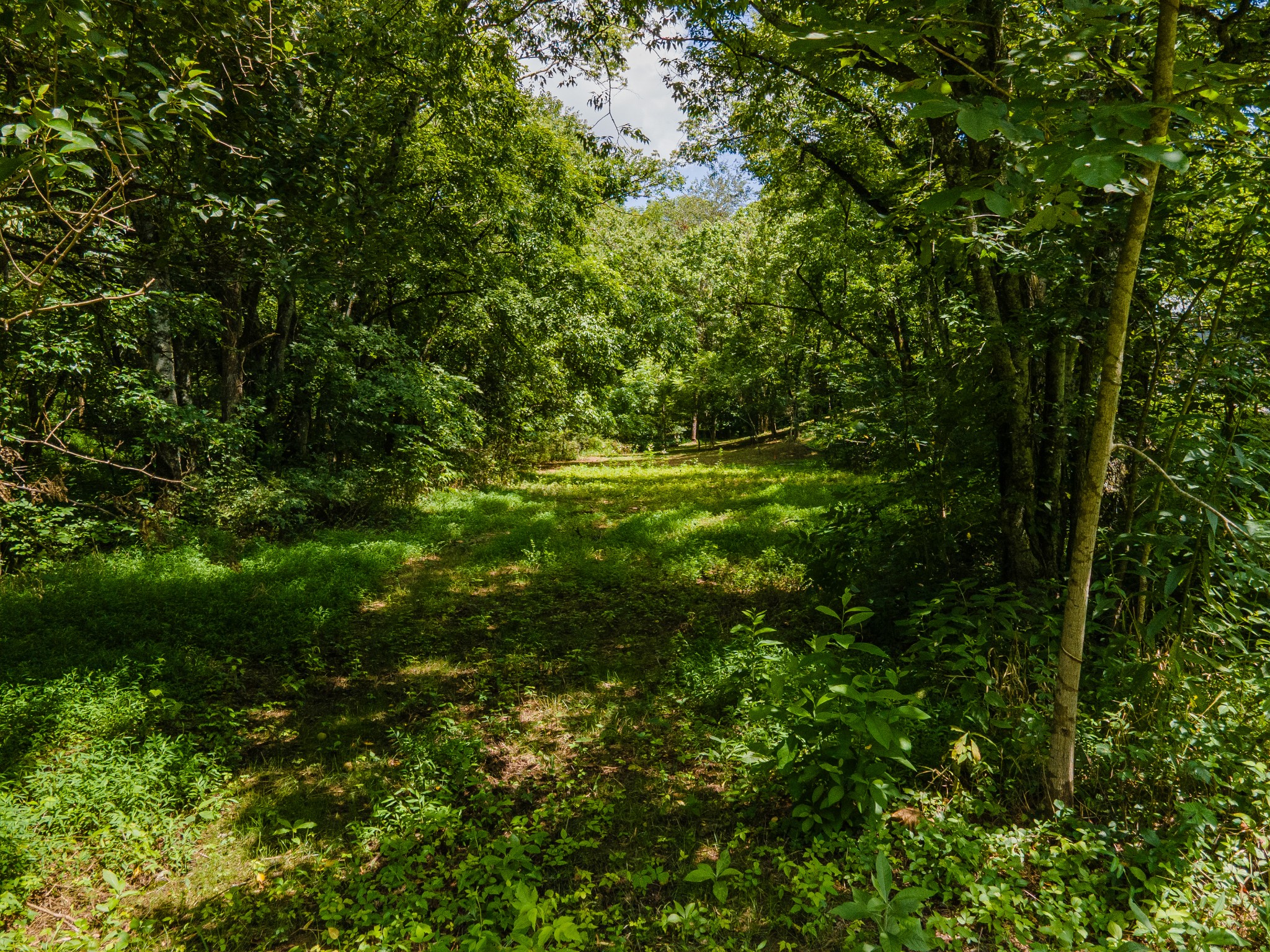 1700 Allen Brown Rd Property Photo 24