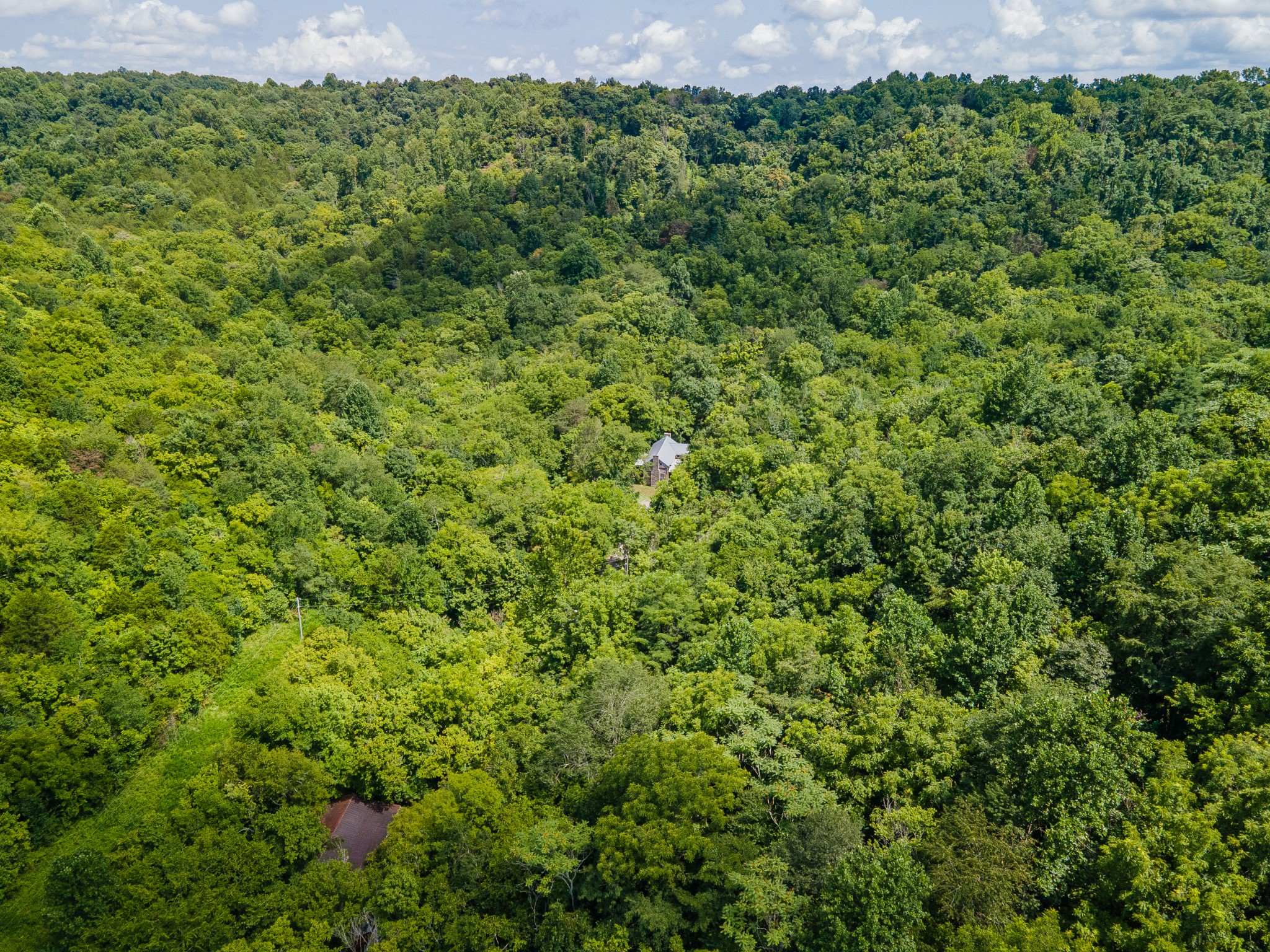 1700 Allen Brown Rd Property Photo 29