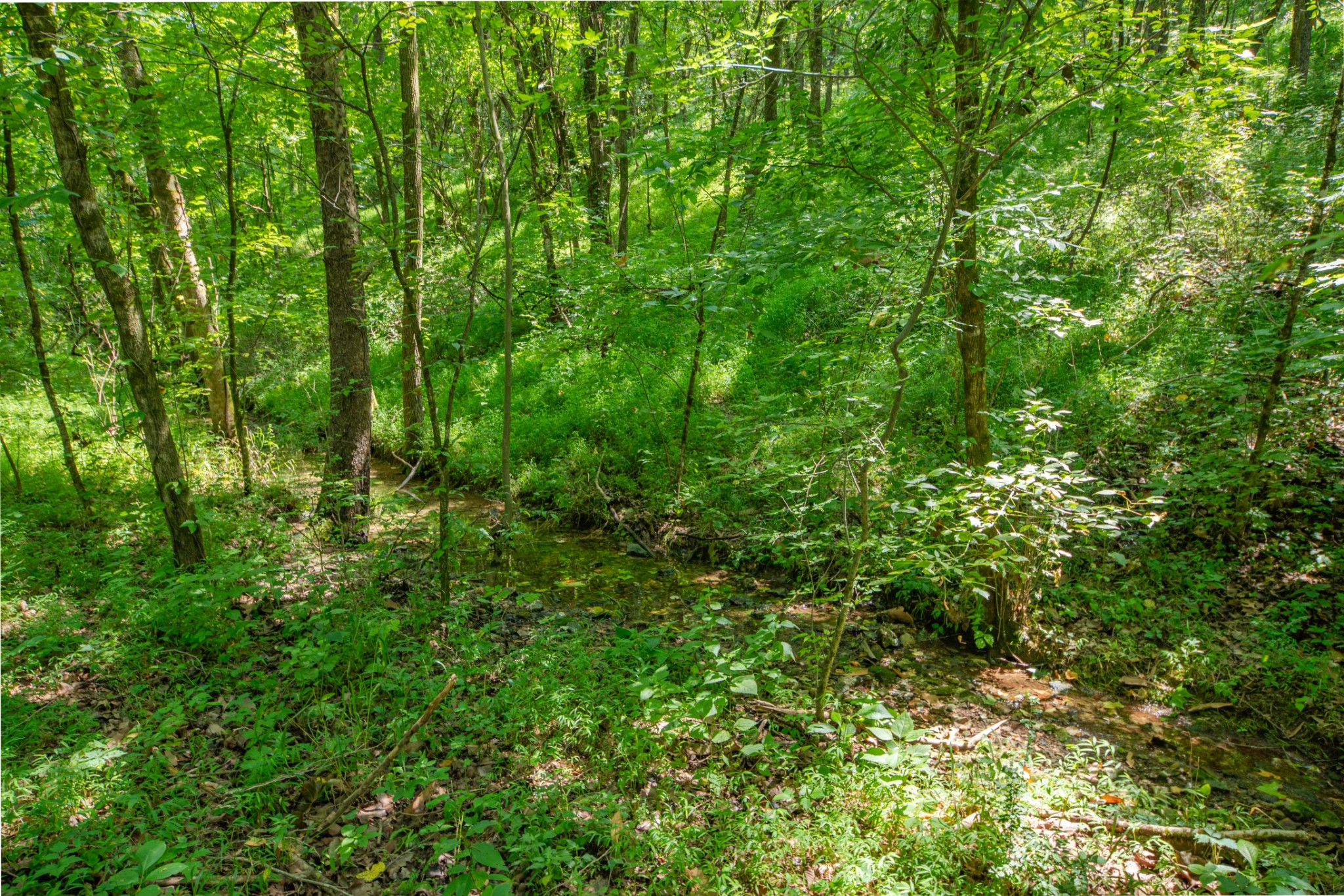1700 Allen Brown Rd Property Photo 51