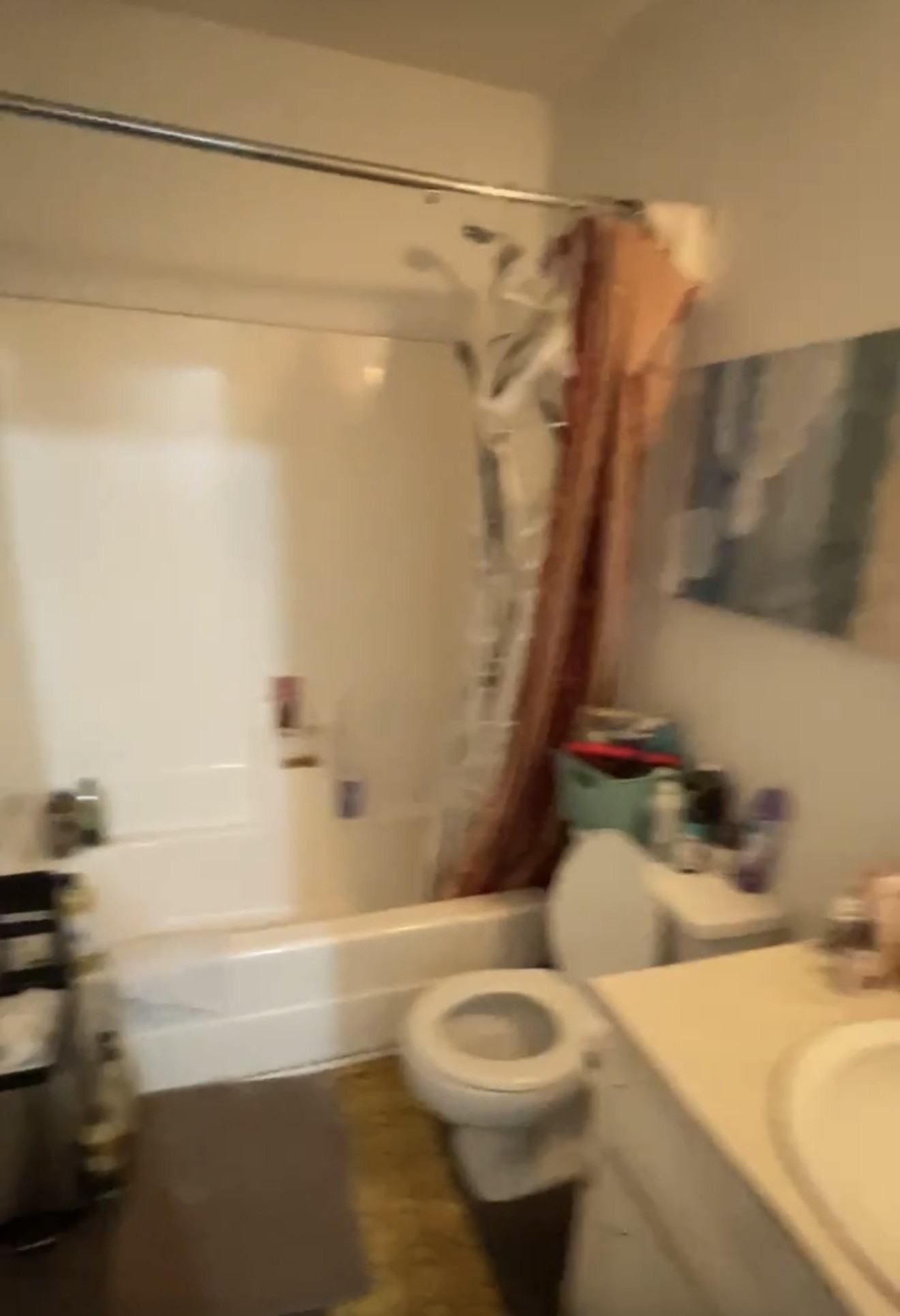 2508 Booker St Property Photo 8