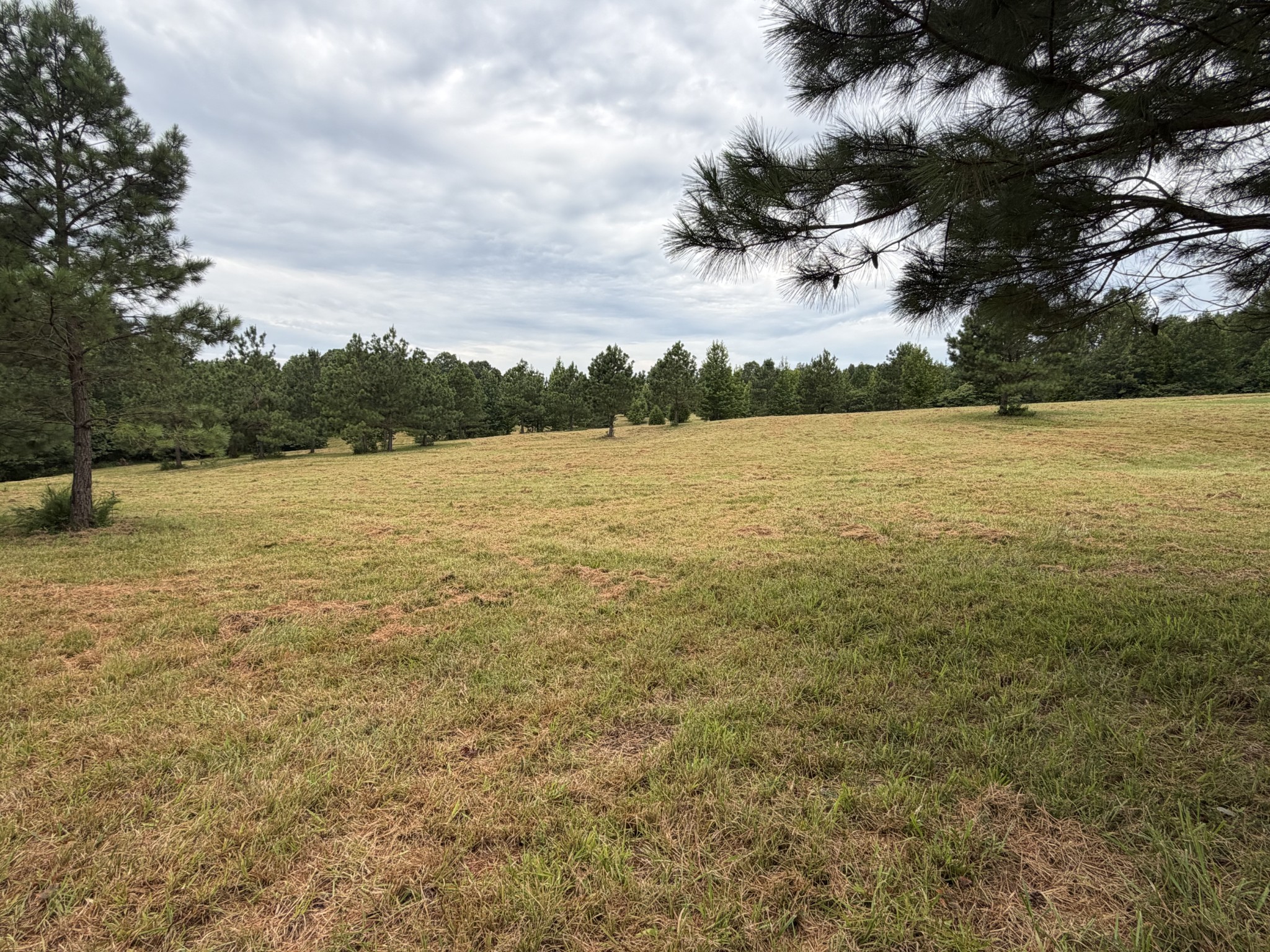 1310 Hwy 120 Property Photo 1