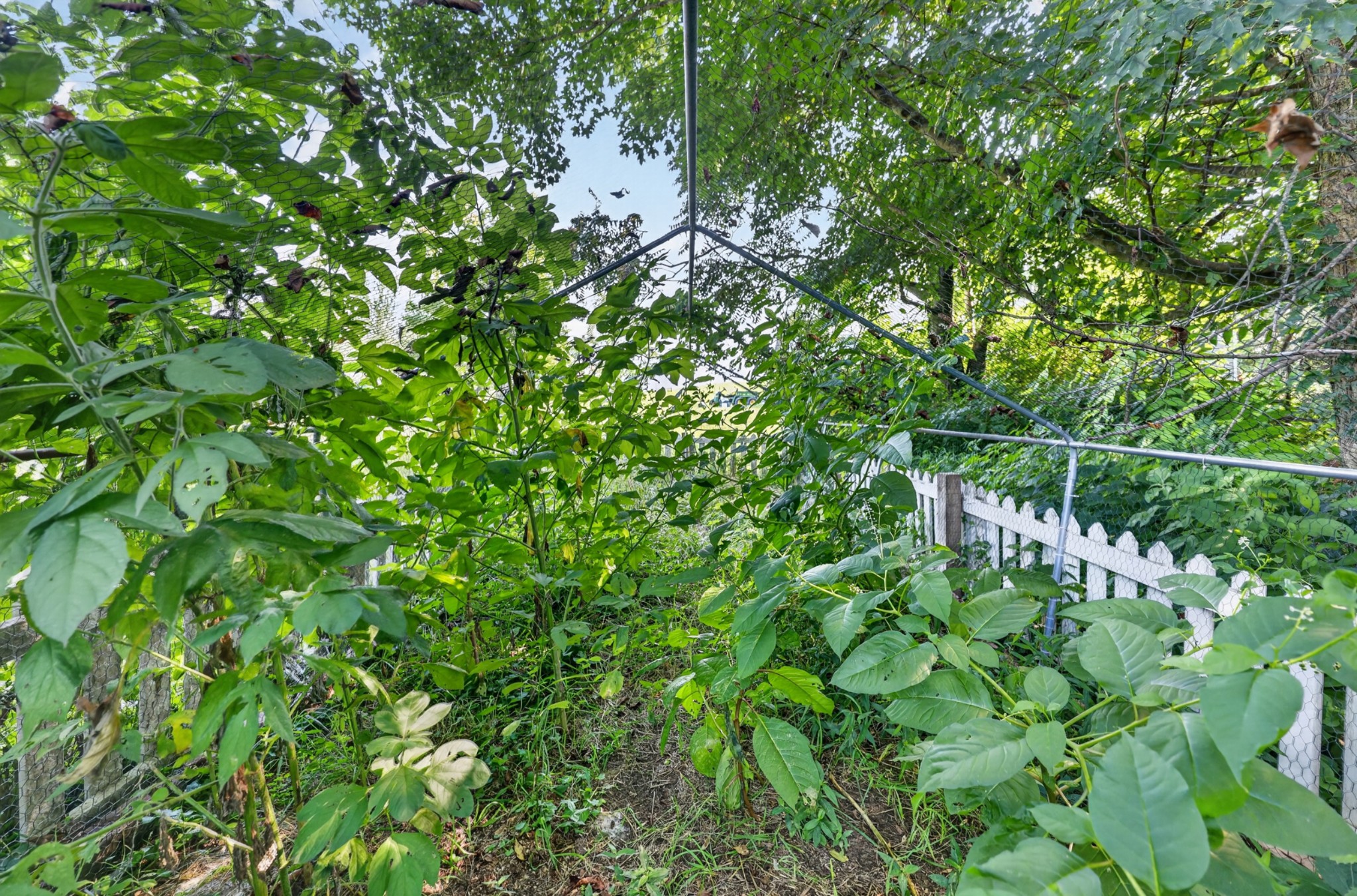 2155 Oak Knob Rd Property Photo 73