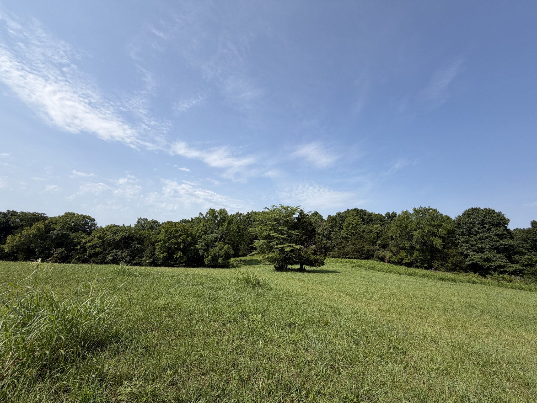 0 Flat Creek Rd Property Photo 1