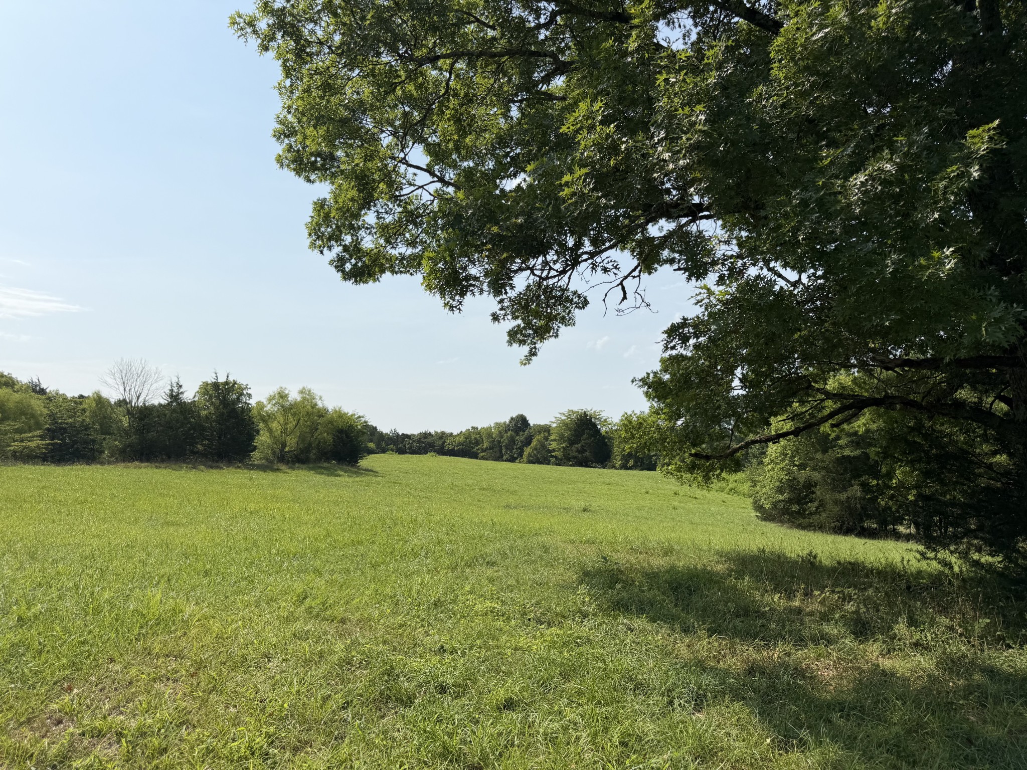 0 Flat Creek Rd Property Photo 2