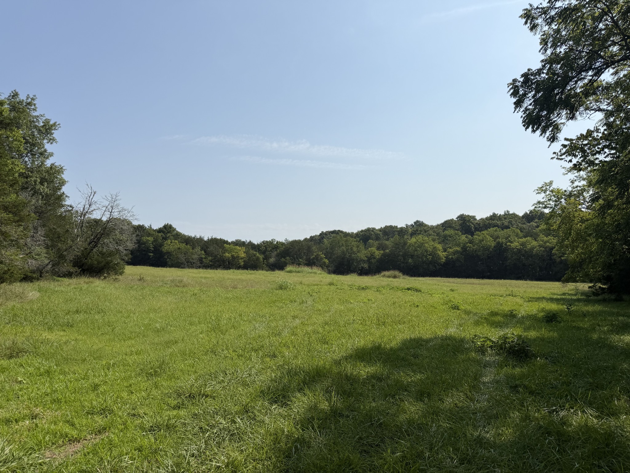 0 Flat Creek Rd Property Photo 4