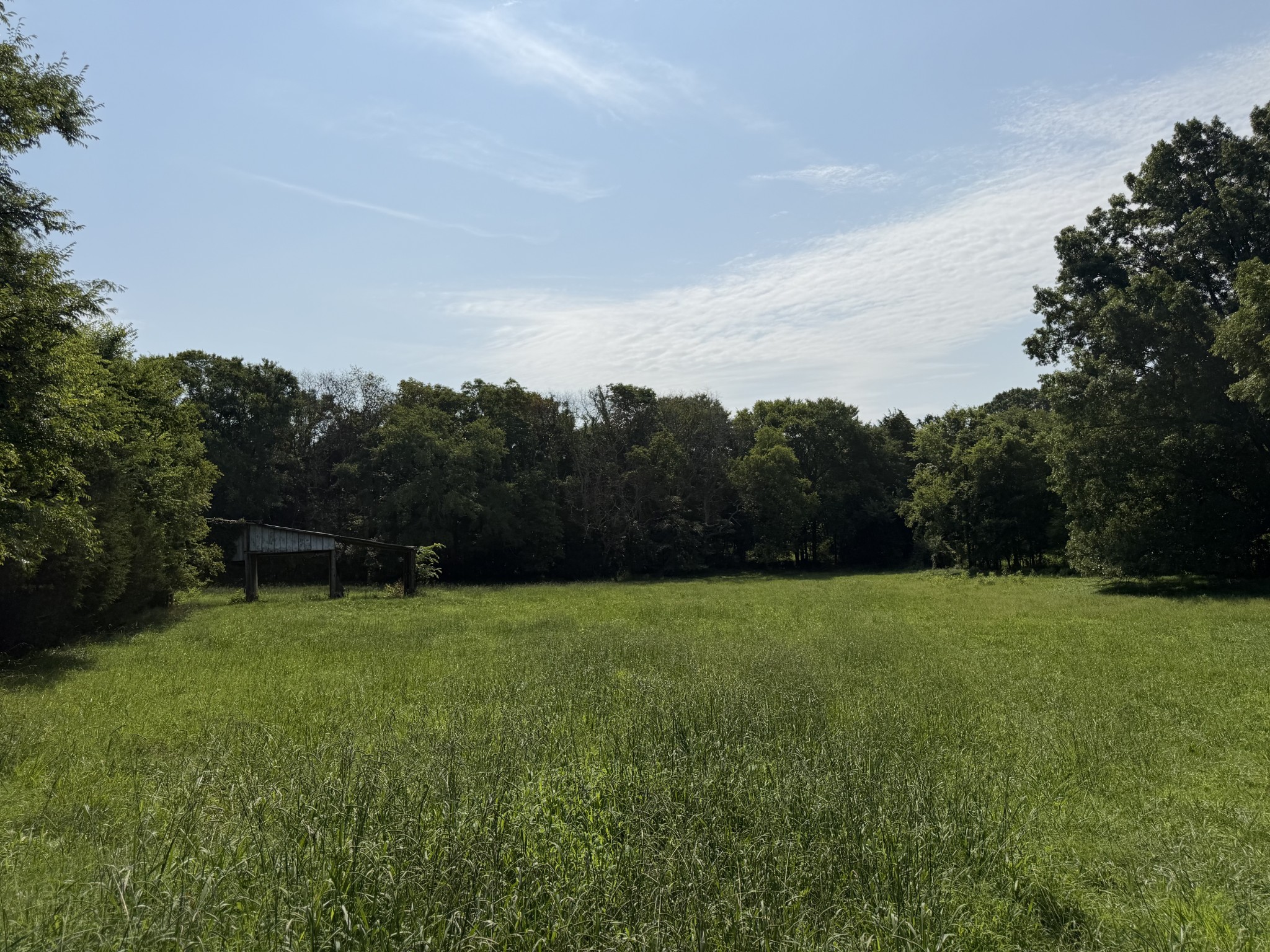 0 Flat Creek Rd Property Photo 5