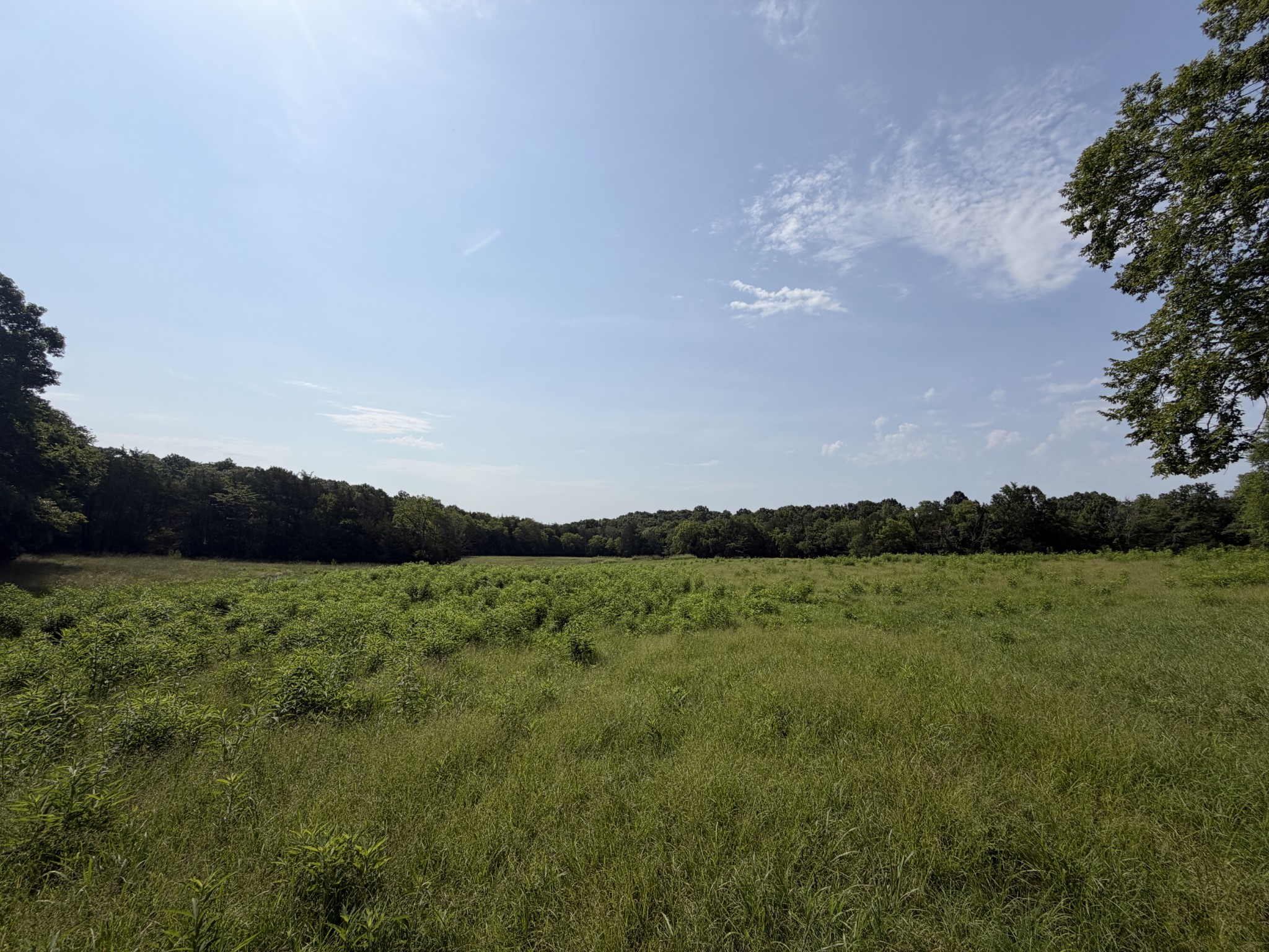 0 Flat Creek Rd Property Photo 8
