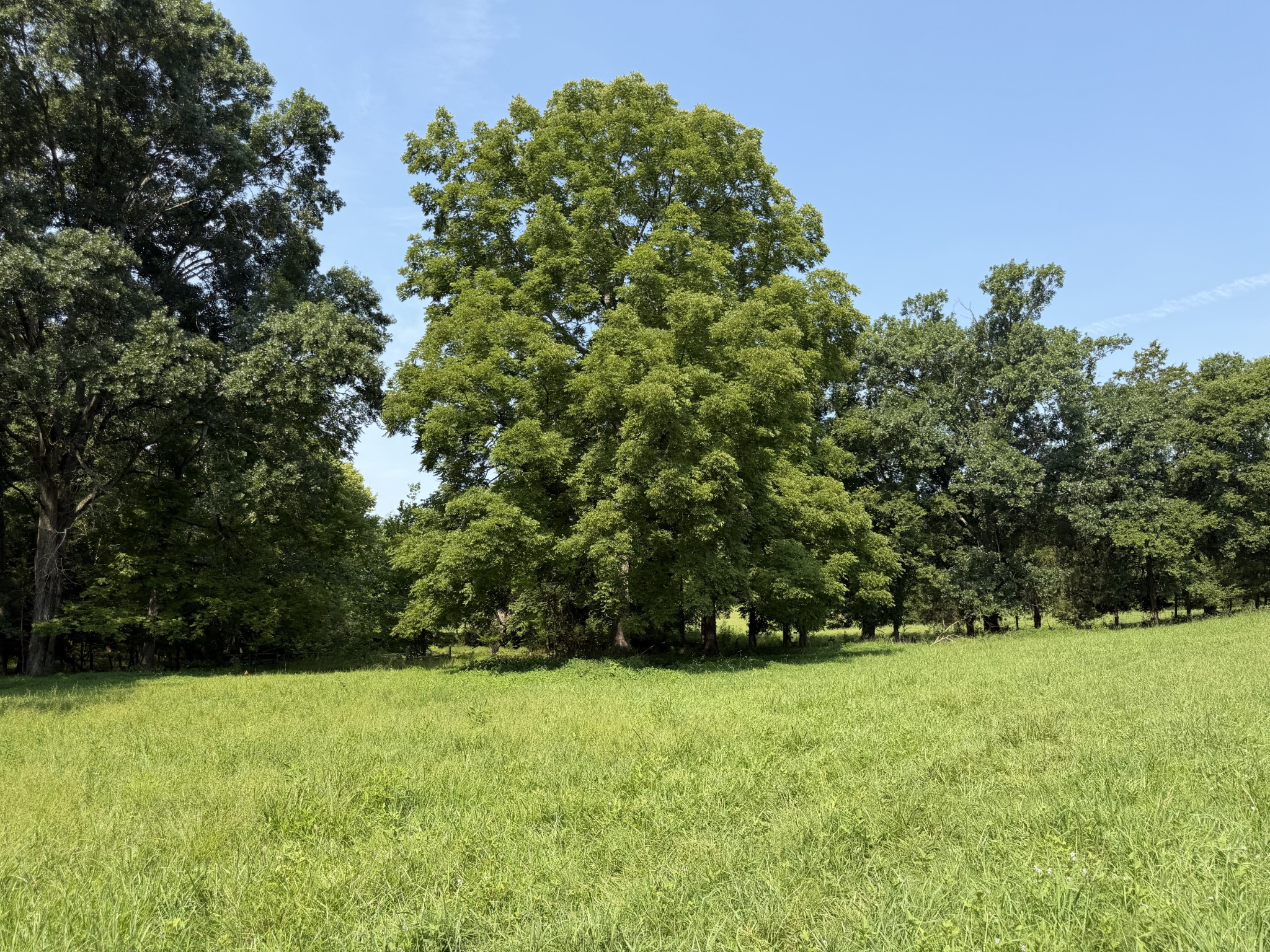 0 Flat Creek Rd Property Photo 12