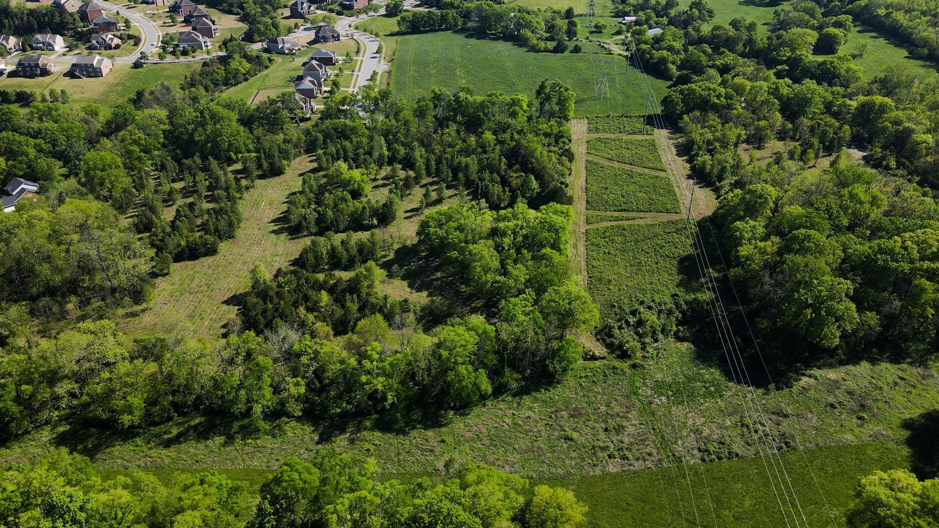 691 Green Hill Blvd Property Photo 4