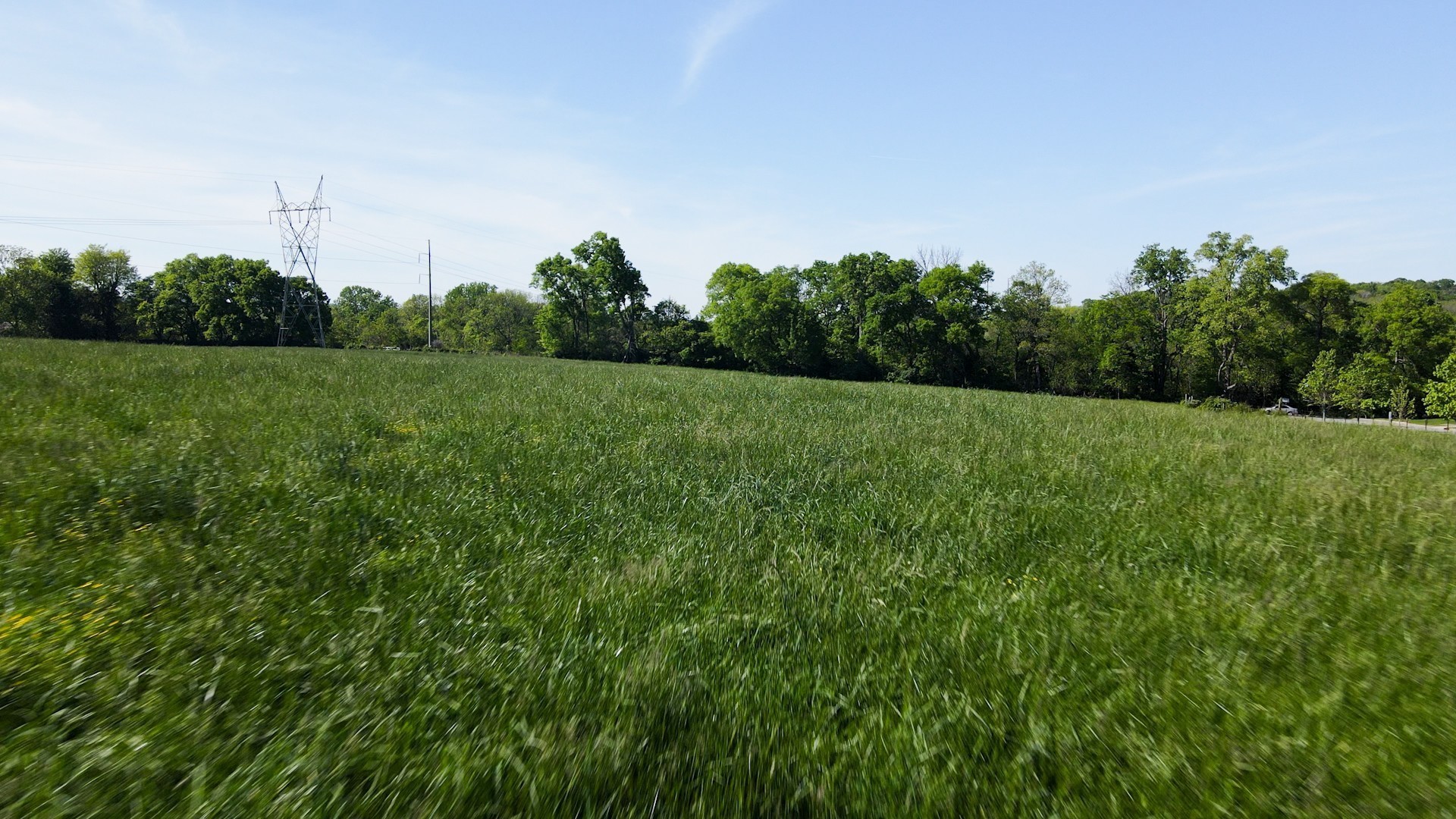 691 Green Hill Blvd Property Photo 7