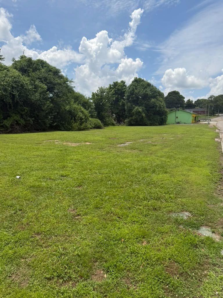 224 Hale St Property Photo 3
