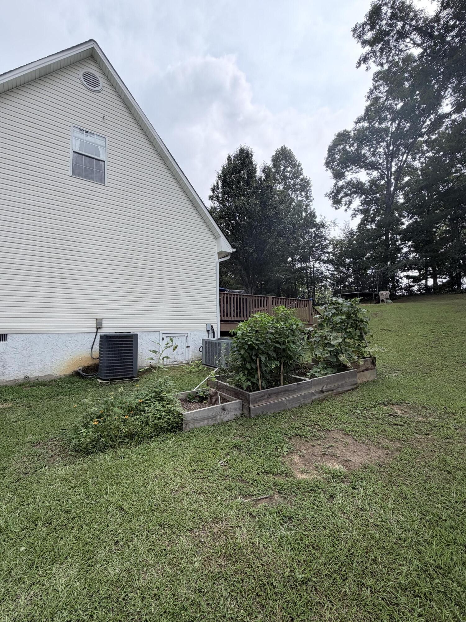 3853 Harrison Pike Property Photo 5