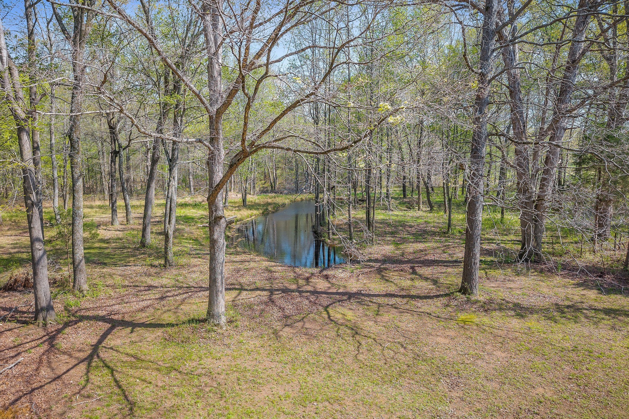 10157 Manchester Hwy Property Photo 3