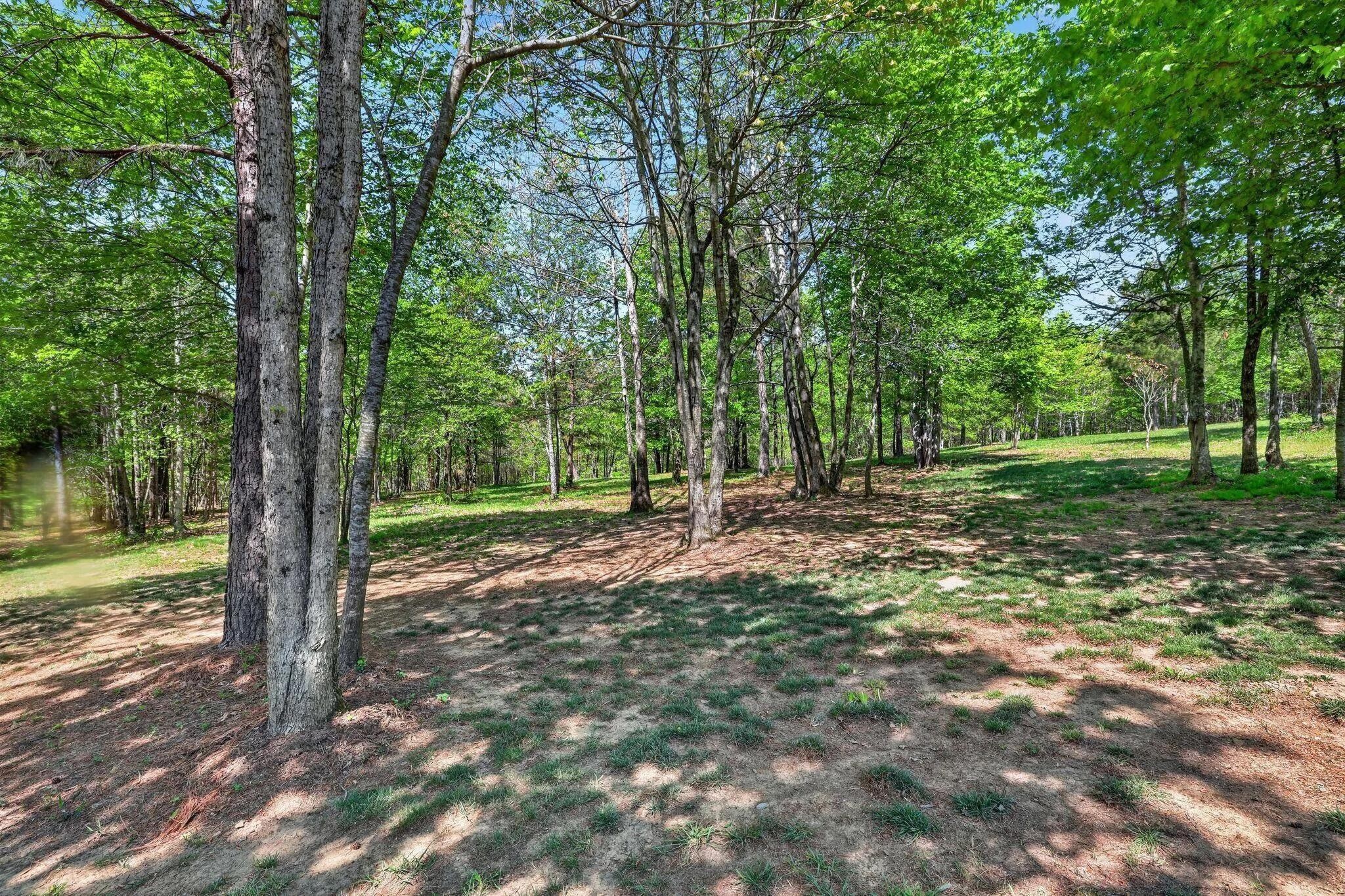 1625 River Bluffs Drive Property Photo 26