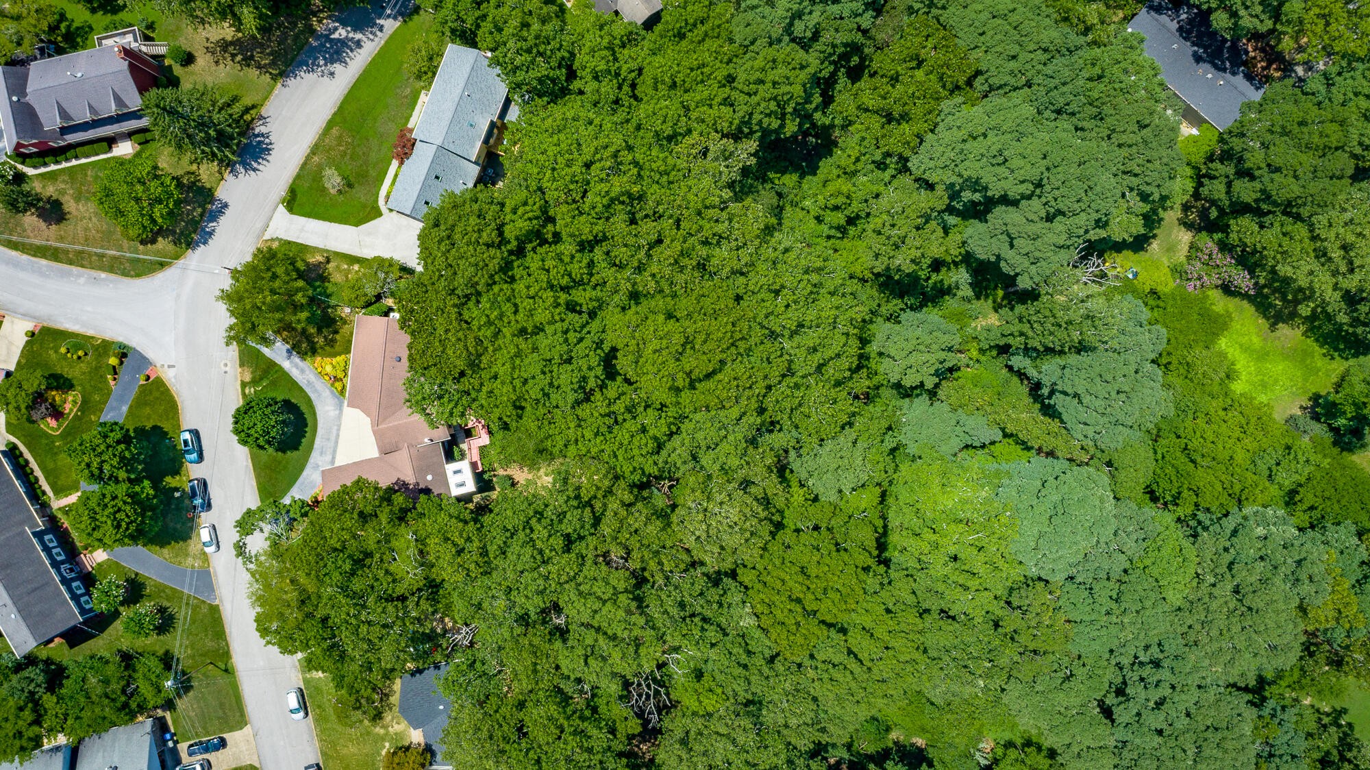 6422 Lake Shadows Circle Property Photo 56