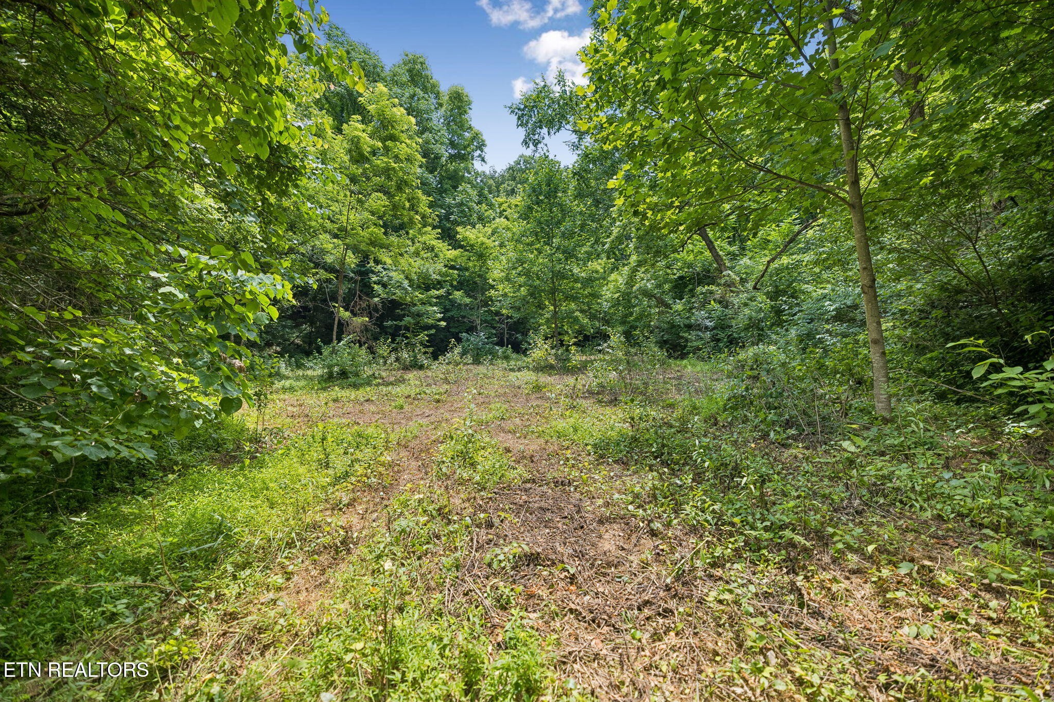 0 Knob Rd Property Photo 1