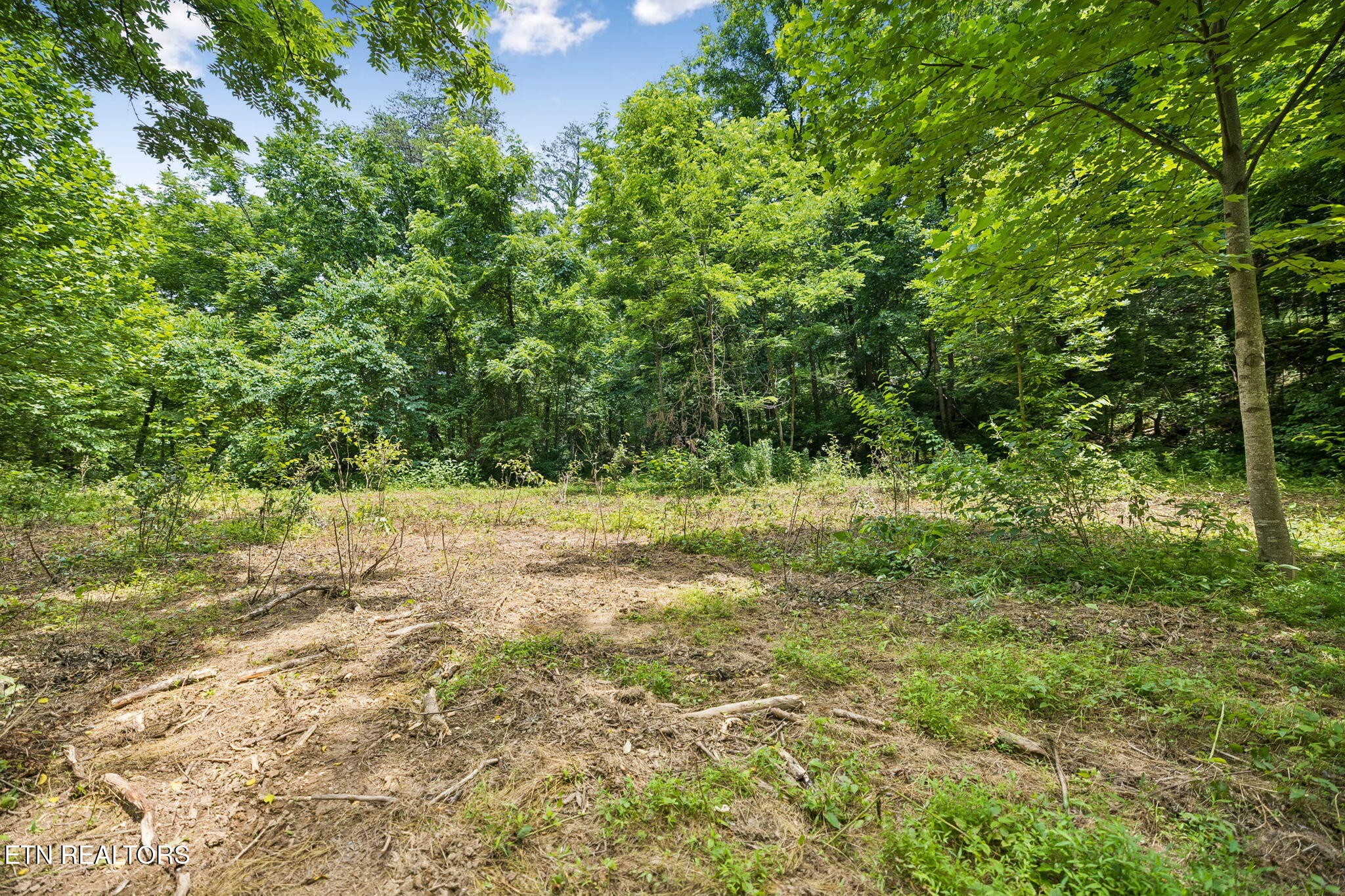 0 Knob Rd Property Photo 7