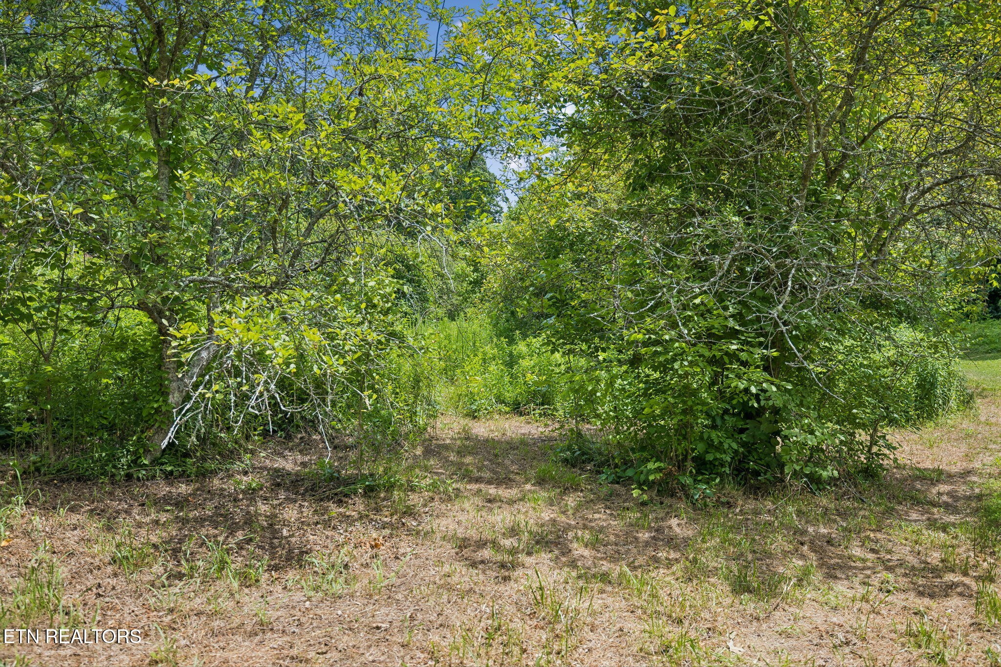 0 Knob Rd Property Photo 9