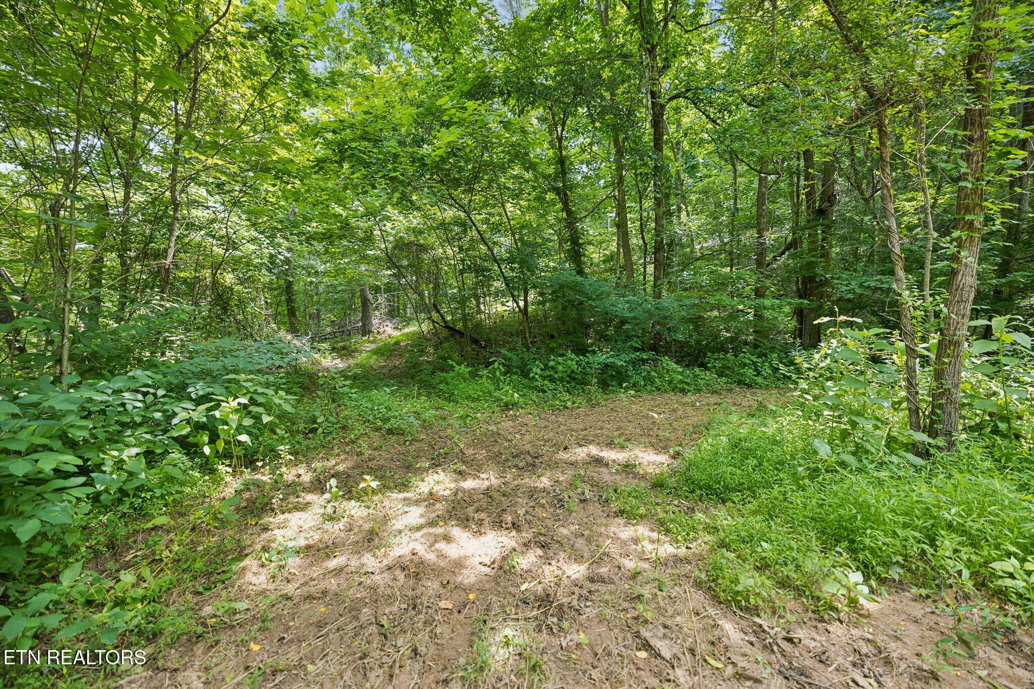 0 Knob Rd Property Photo 10