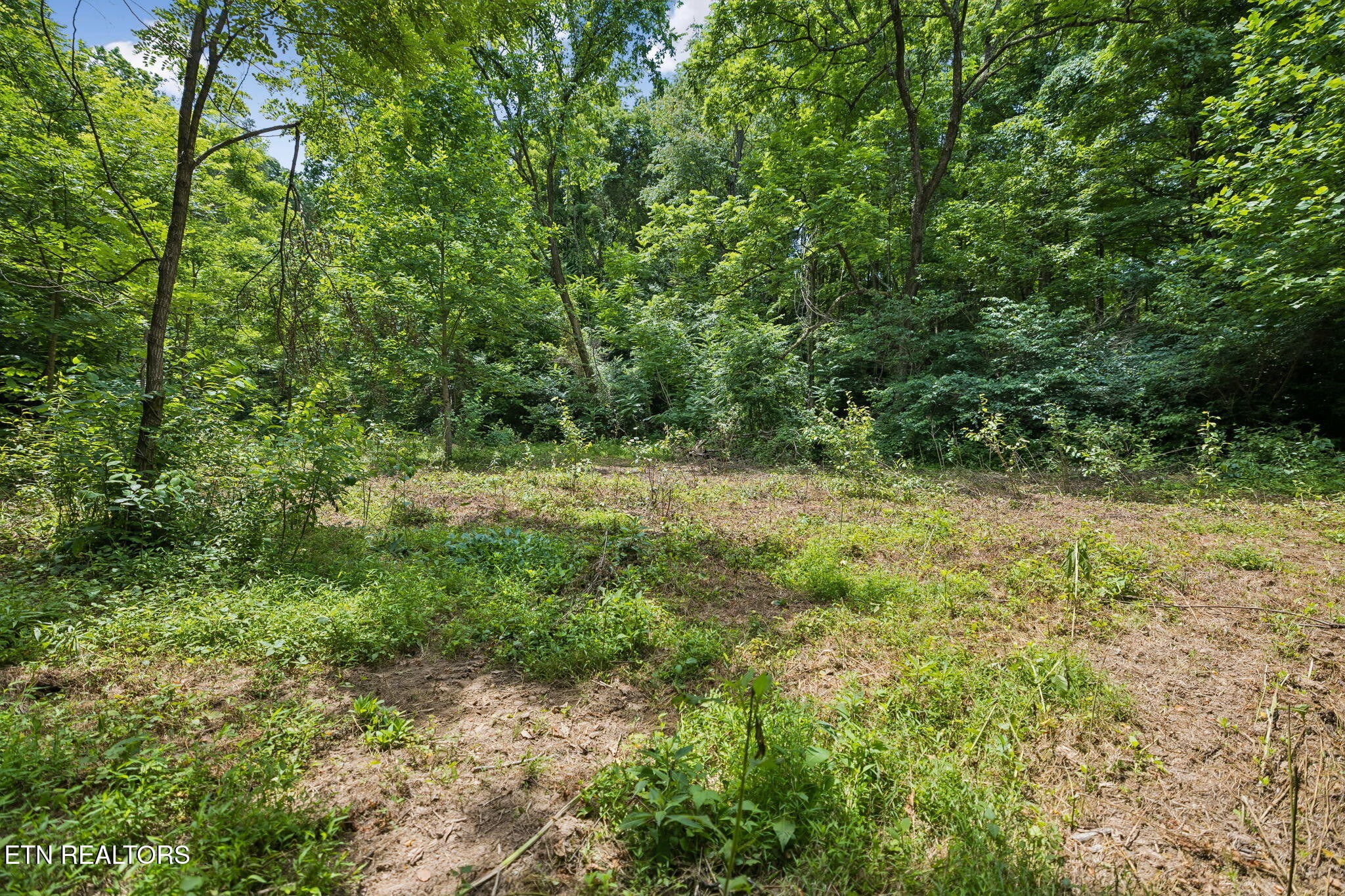 0 Knob Rd Property Photo 11