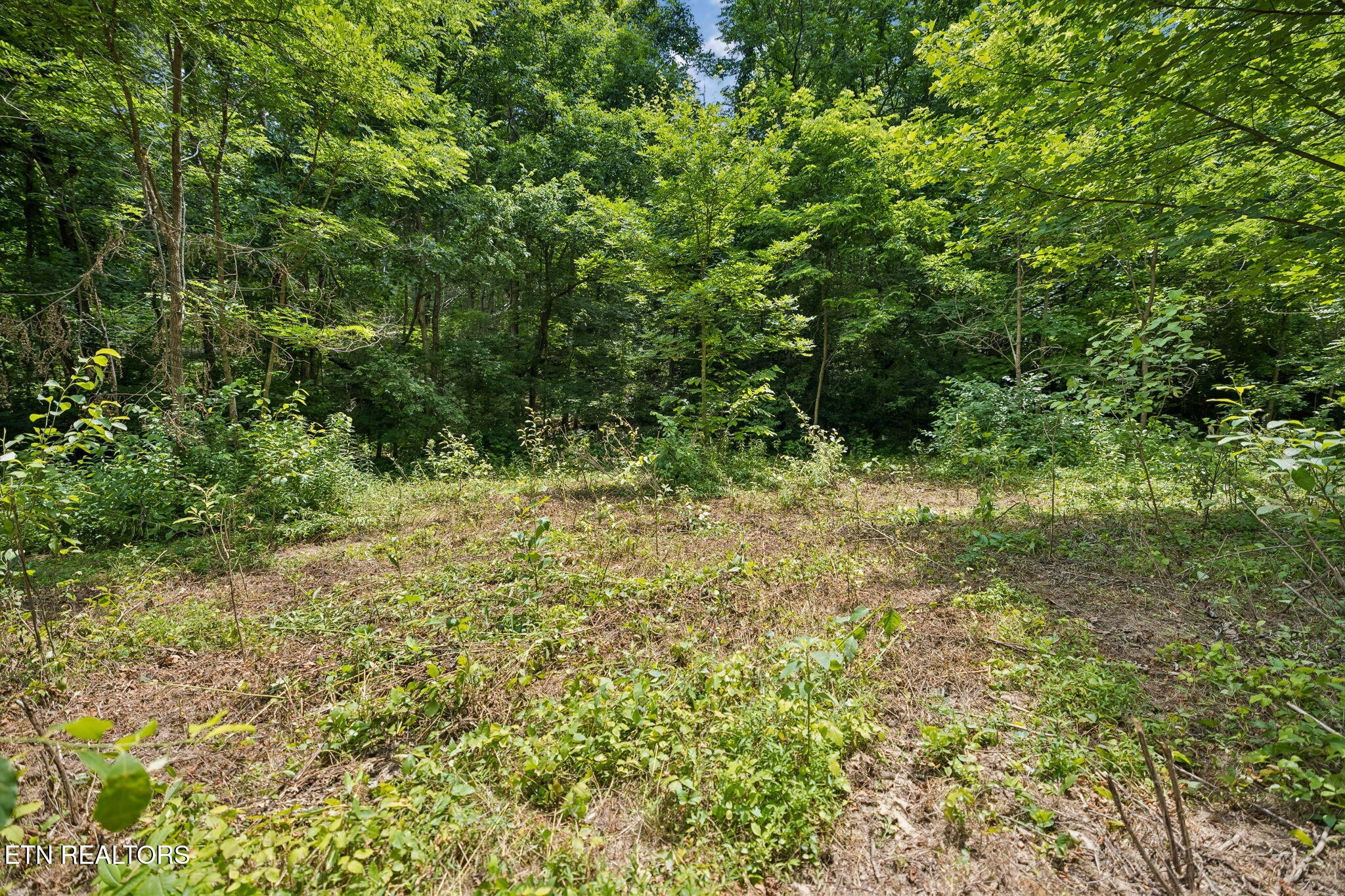 0 Knob Rd Property Photo 12