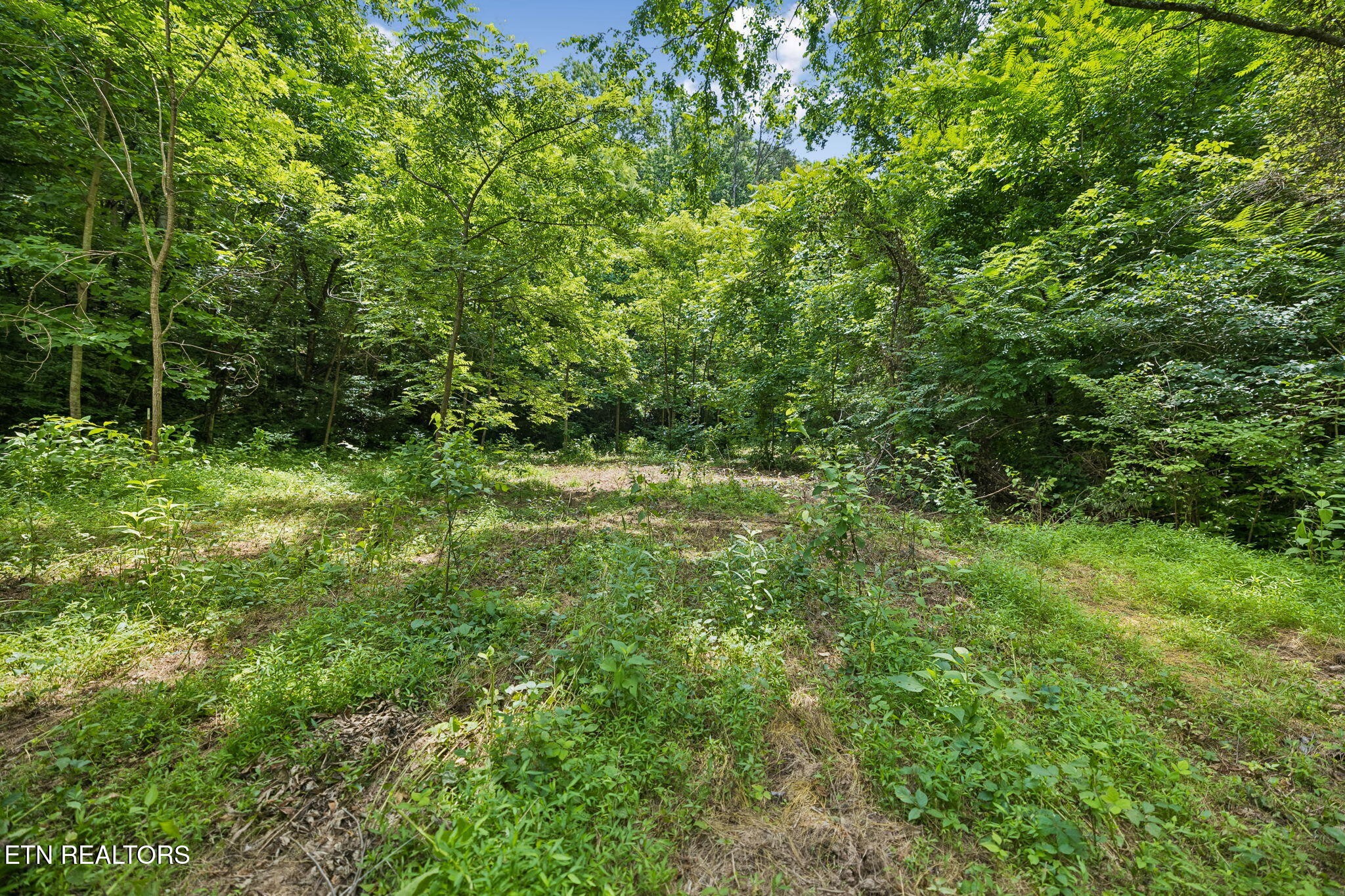 0 Knob Rd Property Photo 13