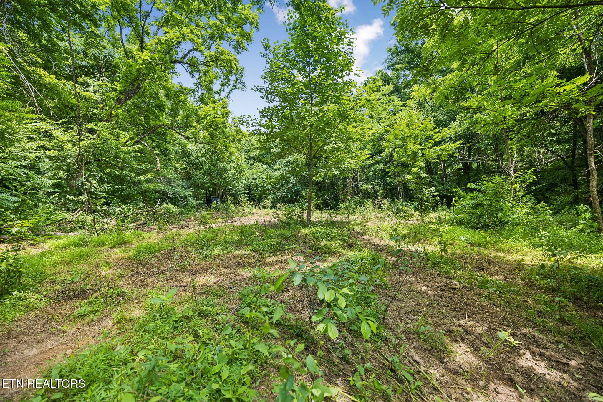 0 Knob Rd Property Photo 14