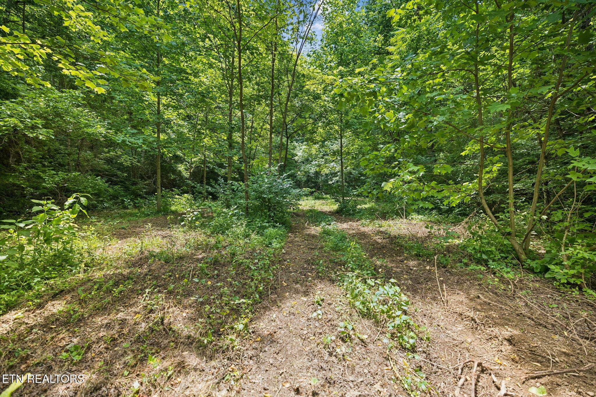0 Knob Rd Property Photo 15