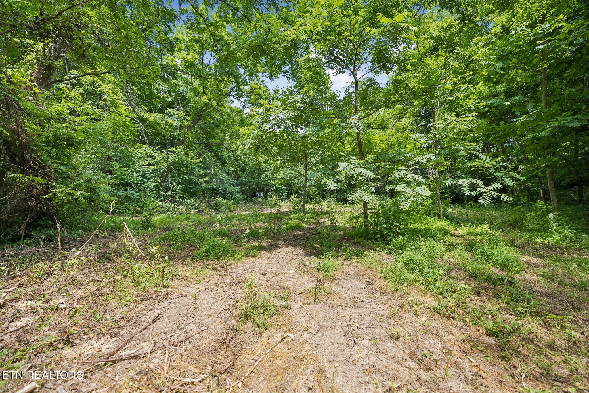 0 Knob Rd Property Photo 16
