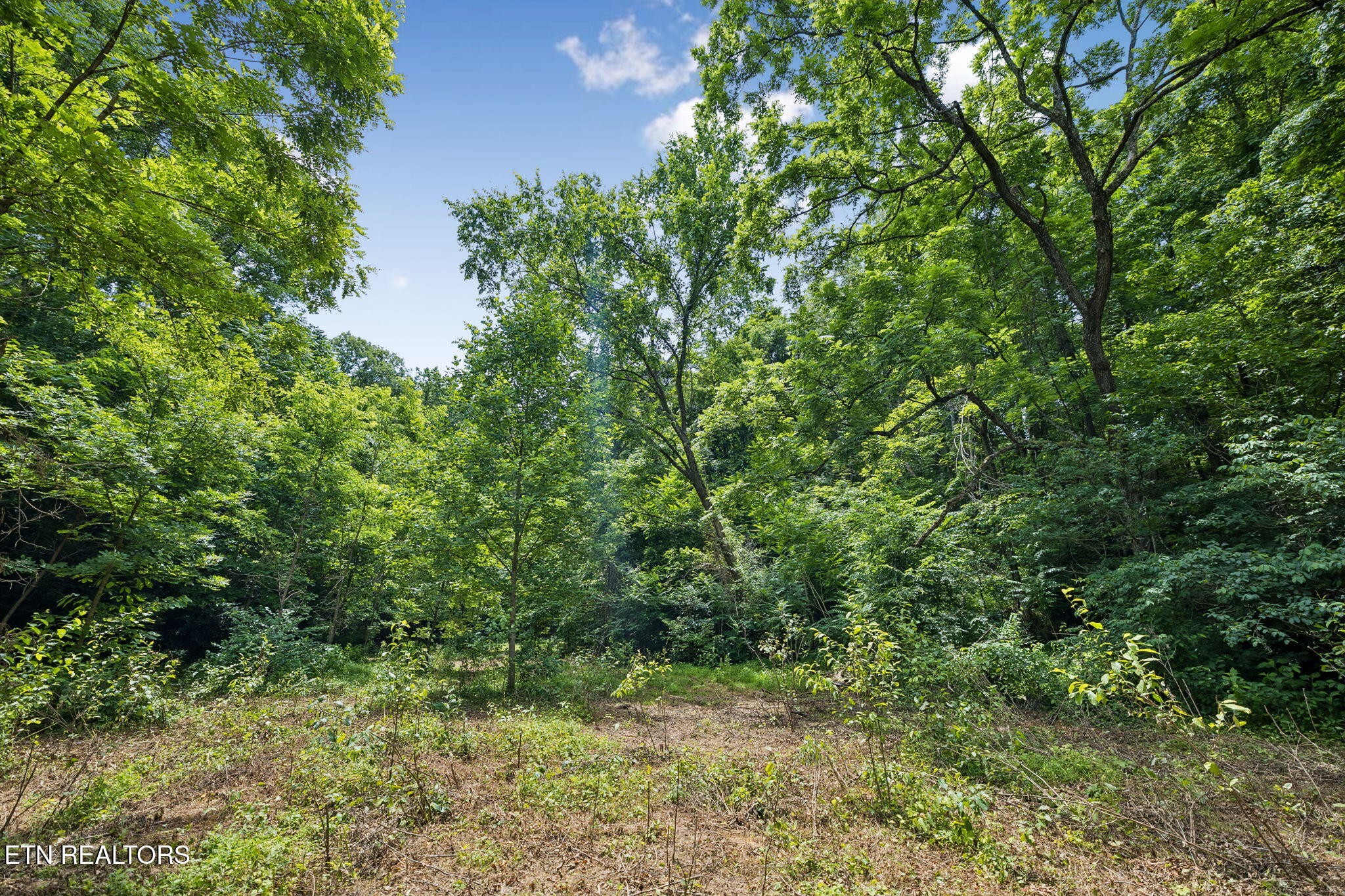 0 Knob Rd Property Photo 17