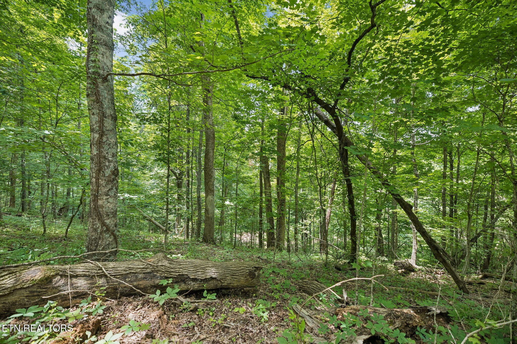 0 Knob Rd Property Photo 18
