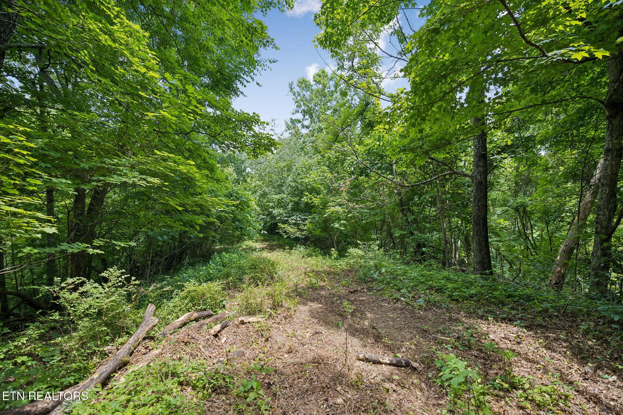 0 Knob Rd Property Photo 19