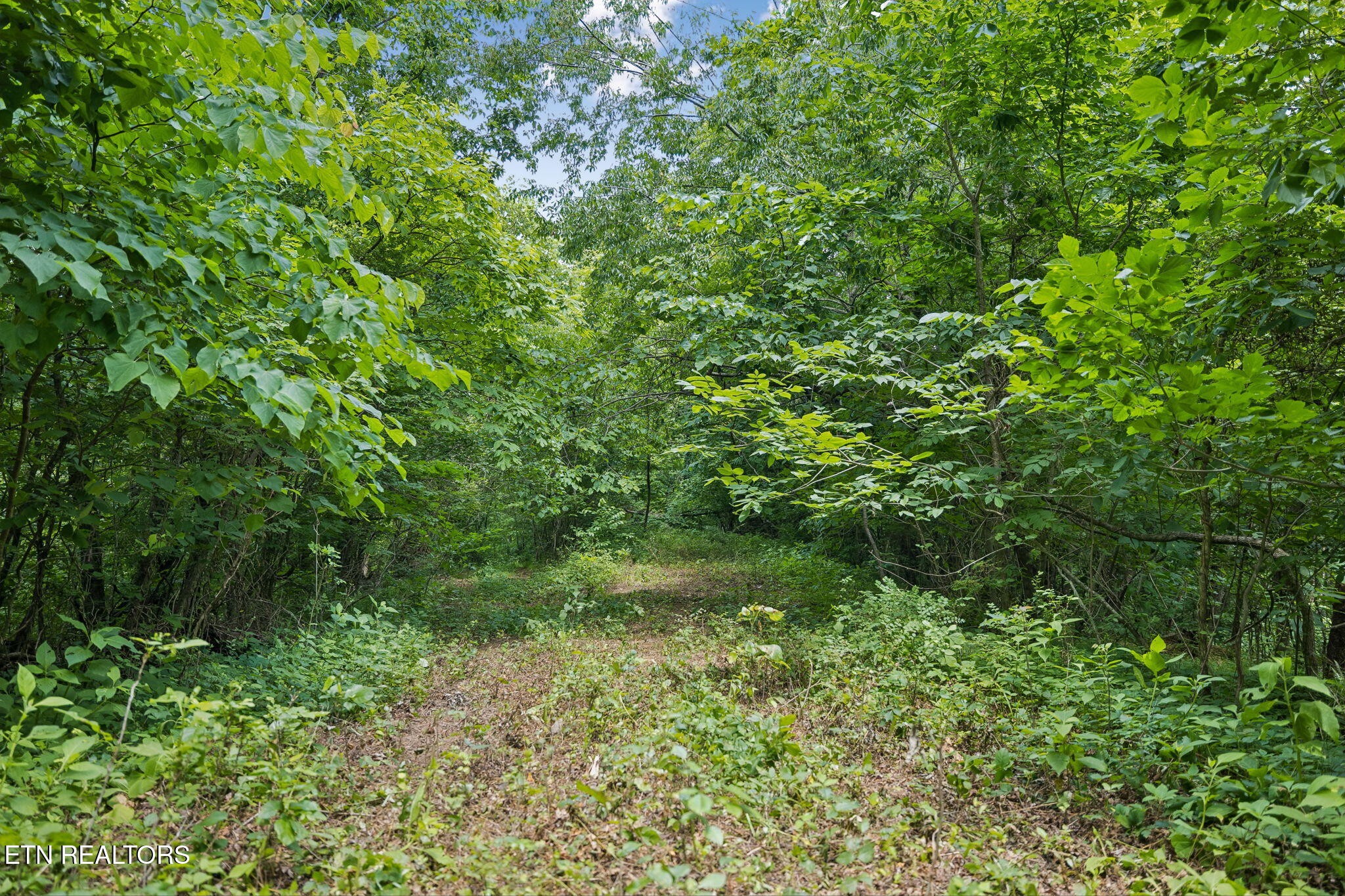 0 Knob Rd Property Photo 21