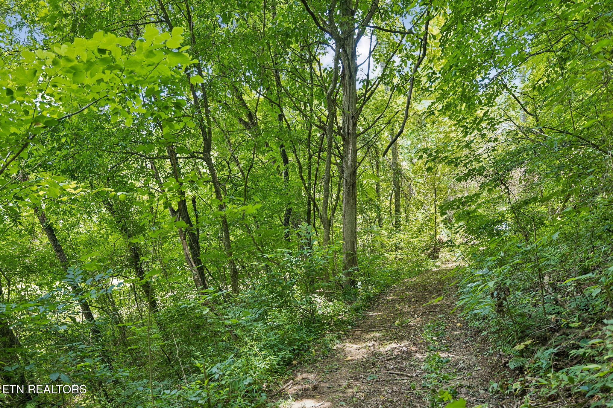 0 Knob Rd Property Photo 26