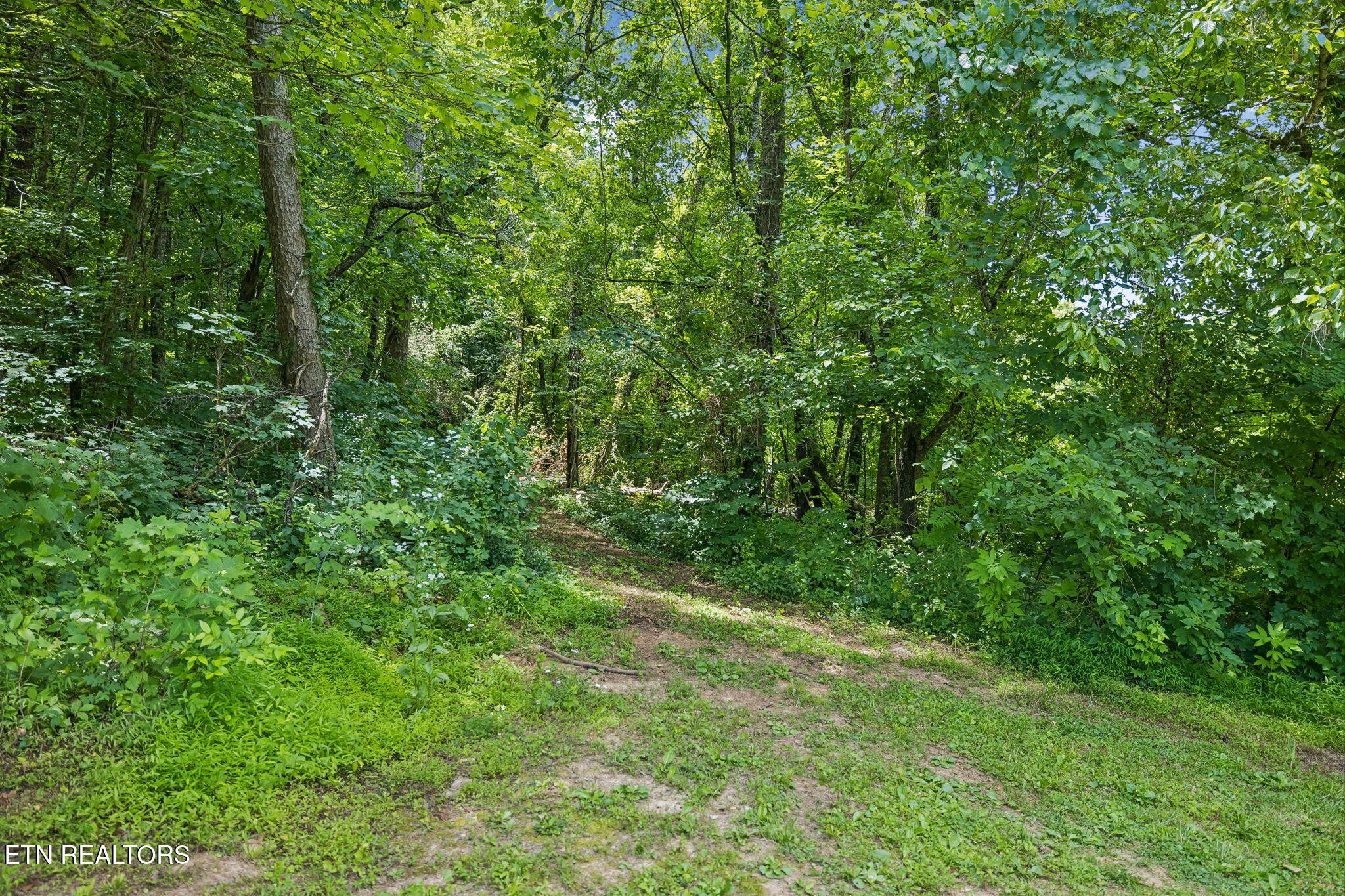 0 Knob Rd Property Photo 28