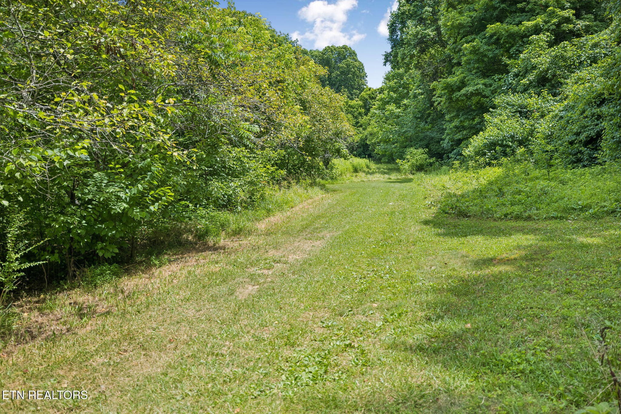0 Knob Rd Property Photo 30
