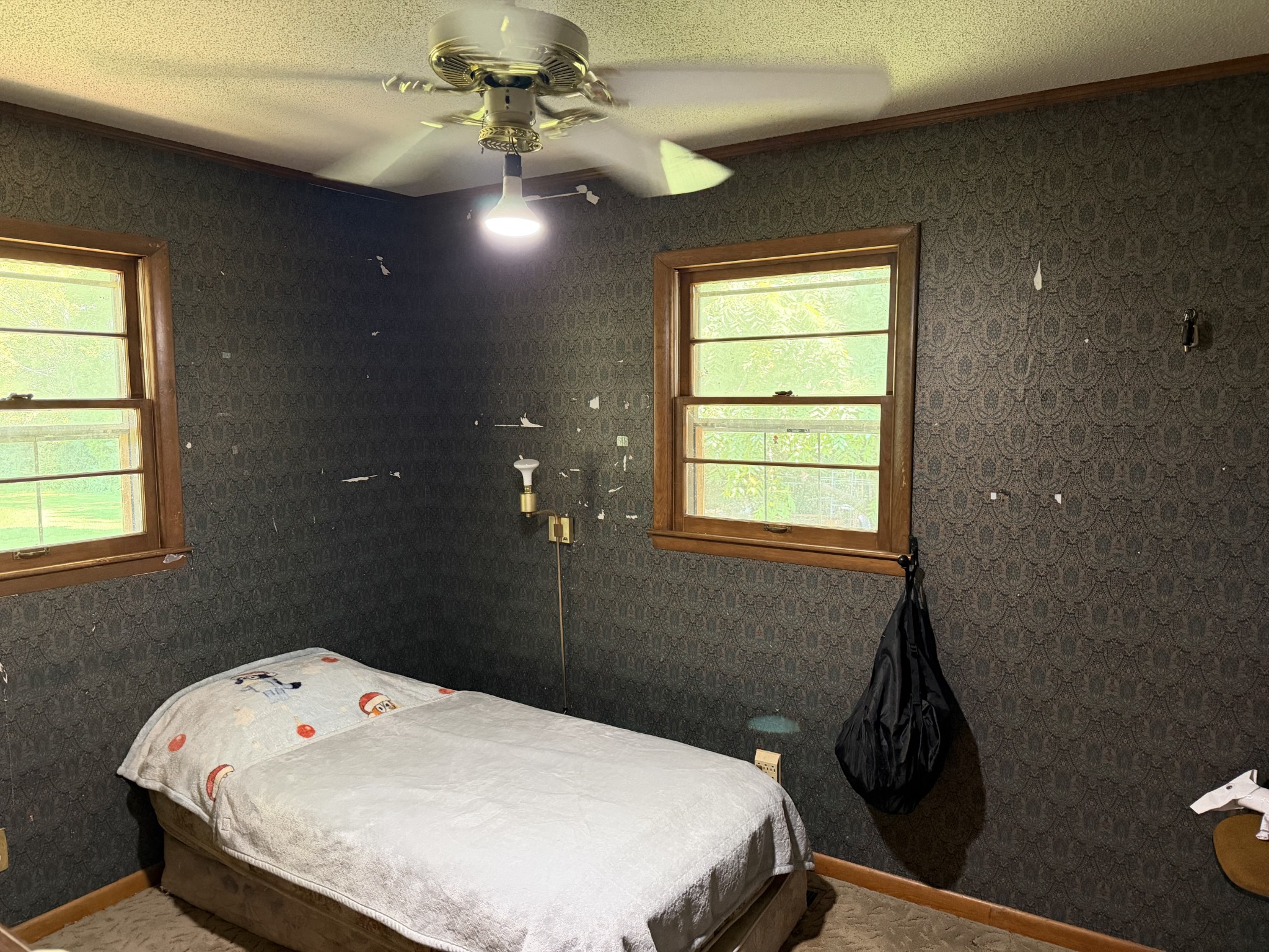 25814 Taylor Rd Property Photo 10