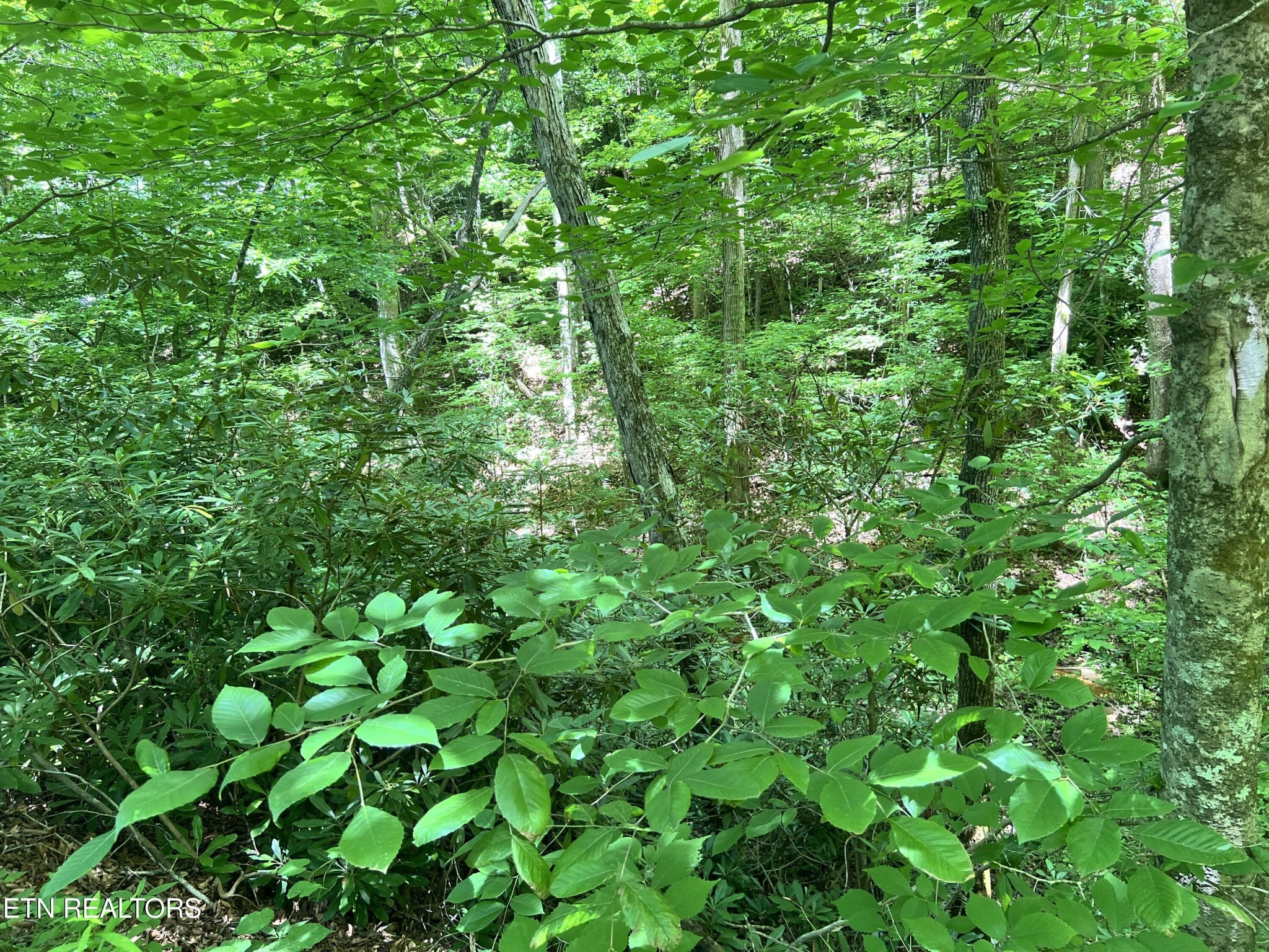 0 Fir Drive Property Photo 3